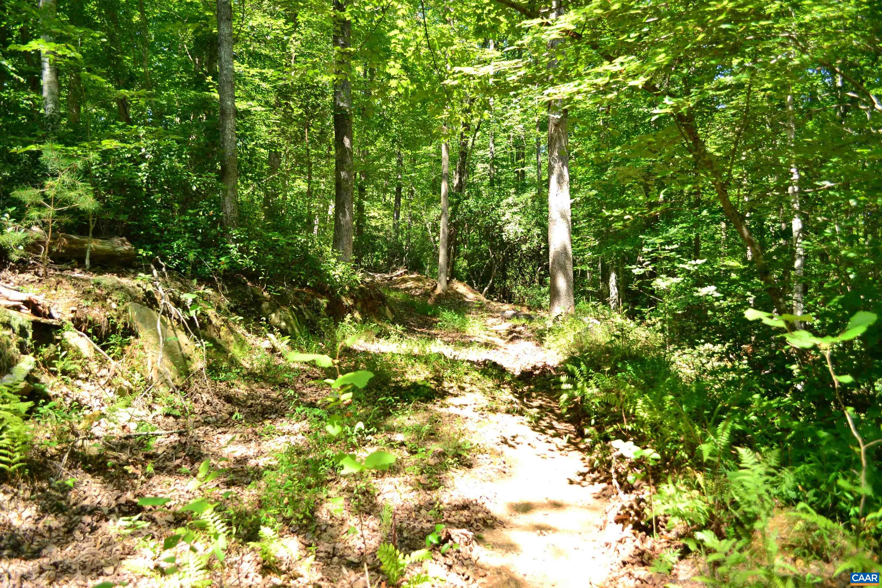 TBD DAMON RD, SCHUYLER, Virginia 22969, ,Land,TBD DAMON RD,682062 MLS # 682062 TBD DAMON RD, SCHUYLER, Virginia 22969, ,Land,TBD DAMON RD,682062 MLS # 682062