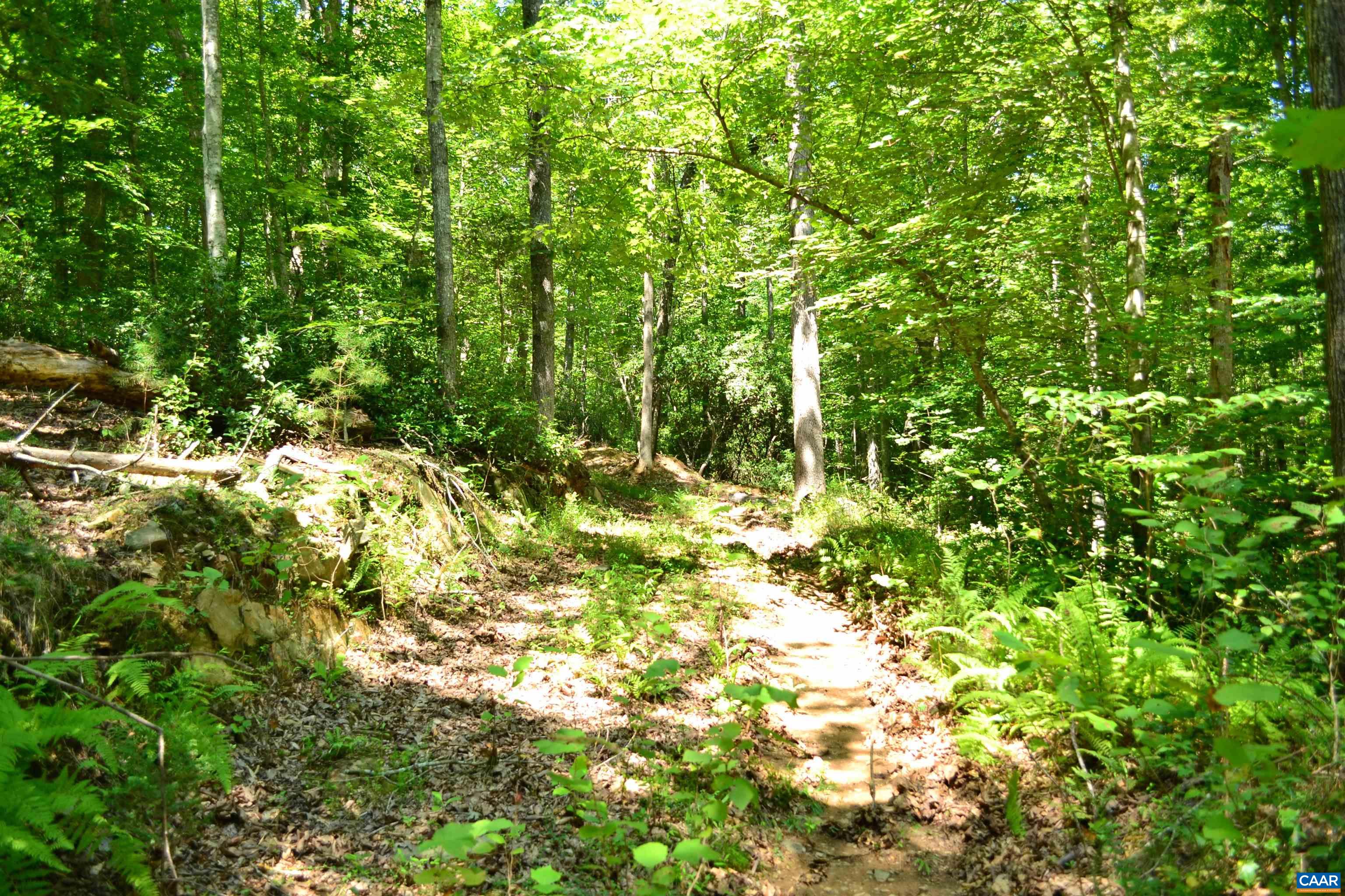 TBD DAMON RD, SCHUYLER, Virginia 22969, ,Land,TBD DAMON RD,682062 MLS # 682062 TBD DAMON RD, SCHUYLER, Virginia 22969, ,Land,TBD DAMON RD,682062 MLS # 682062