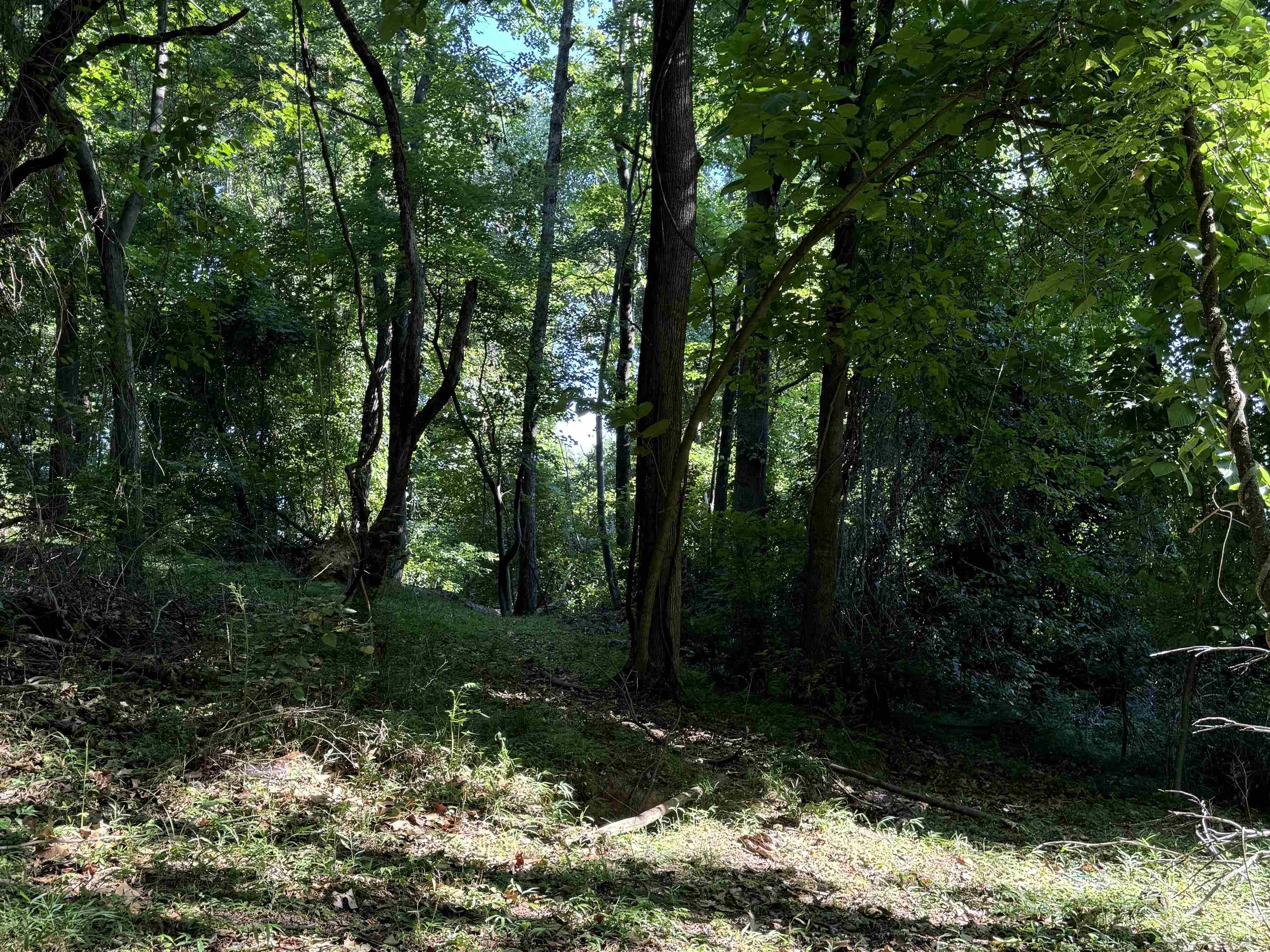 TBD WHISPERING LN, STANLEY, Virginia 22851, ,Land,TBD Lot 17 Whispering Lane, Stanley VA 22851,TBD WHISPERING LN,682070 MLS # 682070 TBD WHISPERING LN, STANLEY, Virginia 22851, ,Land,TBD Lot 17 Whispering Lane, Stanley VA 22851,TBD WHISPERING LN,682070 MLS # 682070