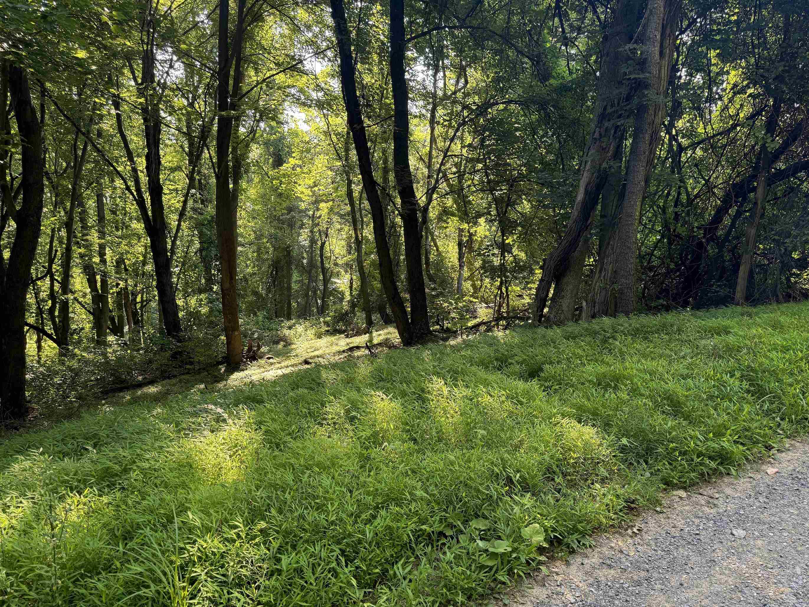 TBD WHISPERING LN, STANLEY, Virginia 22851, ,Land,TBD Lot 17 Whispering Lane, Stanley VA 22851,TBD WHISPERING LN,682070 MLS # 682070 TBD WHISPERING LN, STANLEY, Virginia 22851, ,Land,TBD Lot 17 Whispering Lane, Stanley VA 22851,TBD WHISPERING LN,682070 MLS # 682070