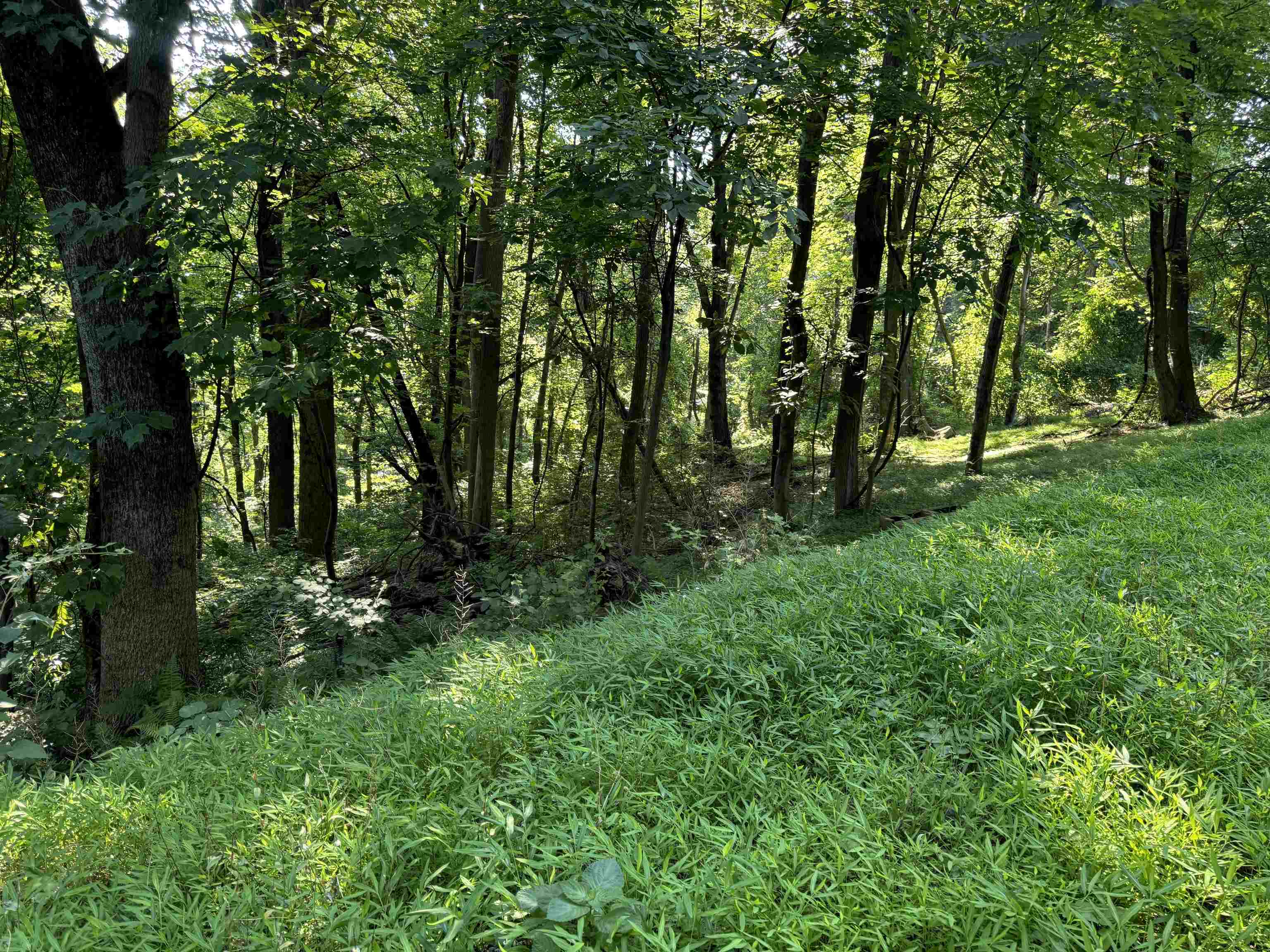 TBD WHISPERING LN, STANLEY, Virginia 22851, ,Land,TBD Lot 17 Whispering Lane, Stanley VA 22851,TBD WHISPERING LN,682070 MLS # 682070 TBD WHISPERING LN, STANLEY, Virginia 22851, ,Land,TBD Lot 17 Whispering Lane, Stanley VA 22851,TBD WHISPERING LN,682070 MLS # 682070