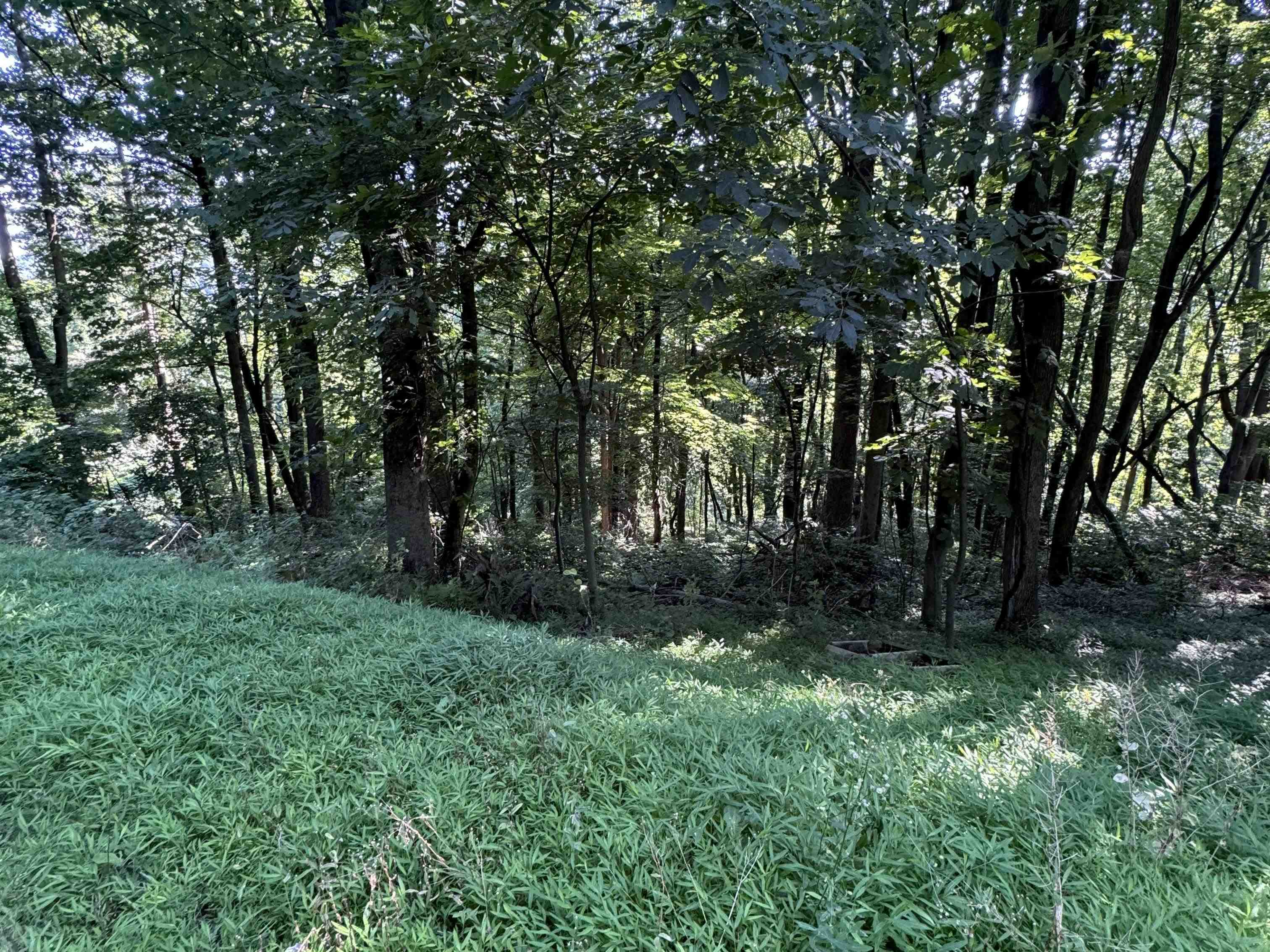 TBD WHISPERING LN, STANLEY, Virginia 22851, ,Land,TBD Lot 17 Whispering Lane, Stanley VA 22851,TBD WHISPERING LN,682070 MLS # 682070 TBD WHISPERING LN, STANLEY, Virginia 22851, ,Land,TBD Lot 17 Whispering Lane, Stanley VA 22851,TBD WHISPERING LN,682070 MLS # 682070