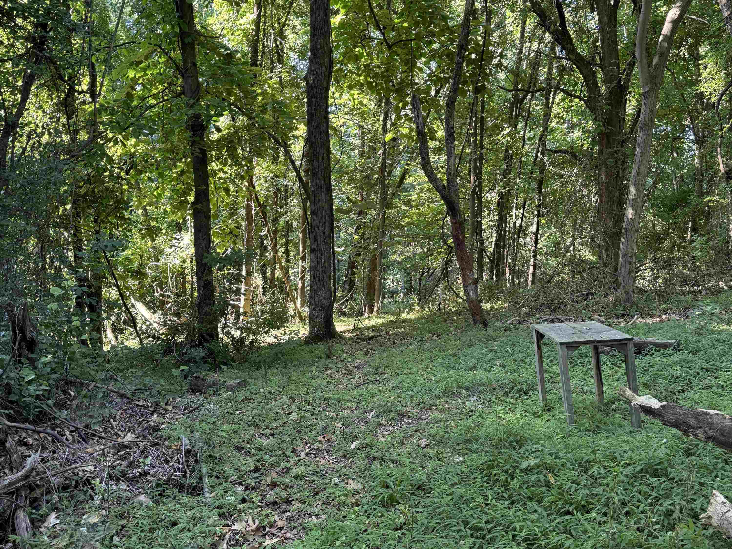 TBD WHISPERING LN, STANLEY, Virginia 22851, ,Land,TBD Lot 17 Whispering Lane, Stanley VA 22851,TBD WHISPERING LN,682070 MLS # 682070 TBD WHISPERING LN, STANLEY, Virginia 22851, ,Land,TBD Lot 17 Whispering Lane, Stanley VA 22851,TBD WHISPERING LN,682070 MLS # 682070