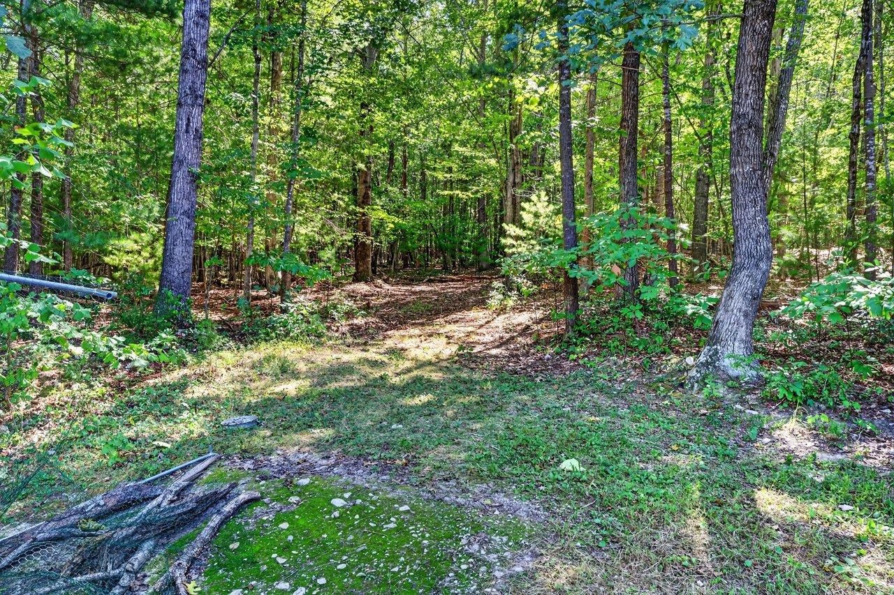 391 JOLLETT LN, ELKTON, Virginia 22827, 3 Bedrooms Bedrooms, ,2 BathroomsBathrooms,Residential,391 JOLLETT LN,682082 MLS # 682082 391 JOLLETT LN, ELKTON, Virginia 22827, 3 Bedrooms Bedrooms, ,2 BathroomsBathrooms,Residential,391 JOLLETT LN,682082 MLS # 682082
