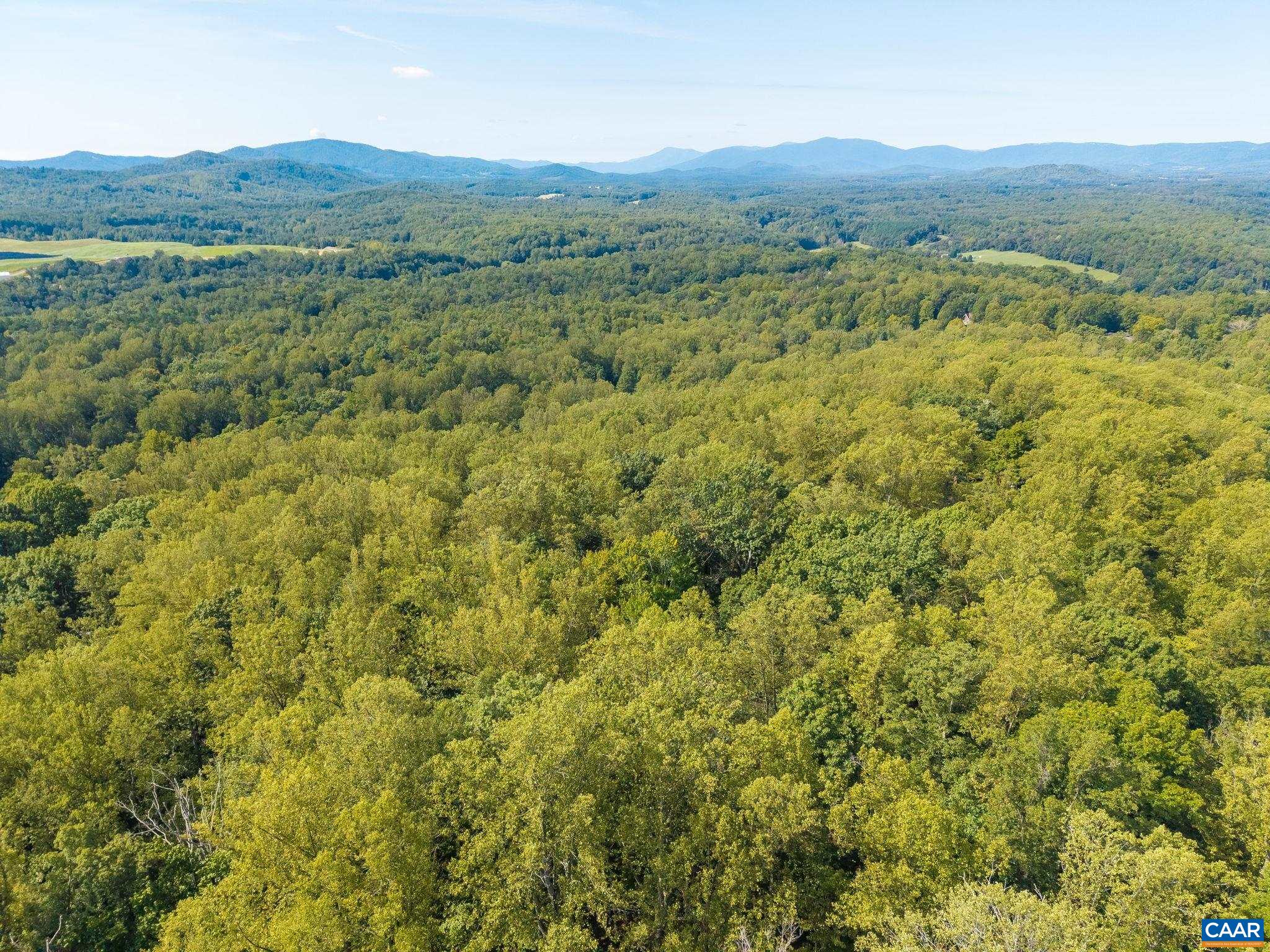 268 DEER CREST HTS, CHARLOTTESVILLE, Virginia 22903, 4 Bedrooms Bedrooms, ,3 BathroomsBathrooms,Residential,268 DEER CREST HTS,682023 MLS # 682023