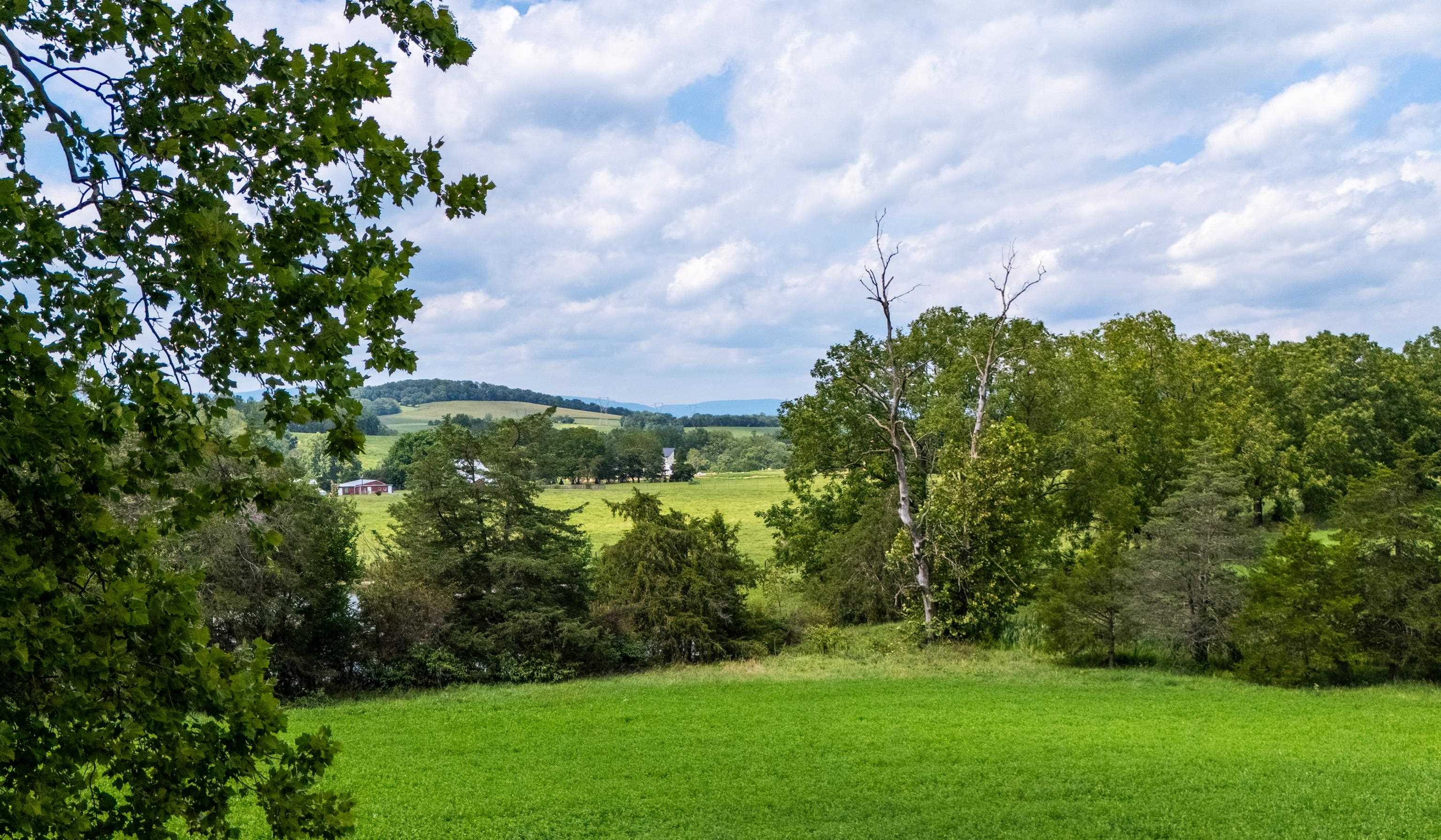 TBD CENTERVILLE RD, BRIDGEWATER, Virginia 22812, ,Land,TBD CENTERVILLE RD,682110 MLS # 682110 TBD CENTERVILLE RD, BRIDGEWATER, Virginia 22812, ,Land,TBD CENTERVILLE RD,682110 MLS # 682110