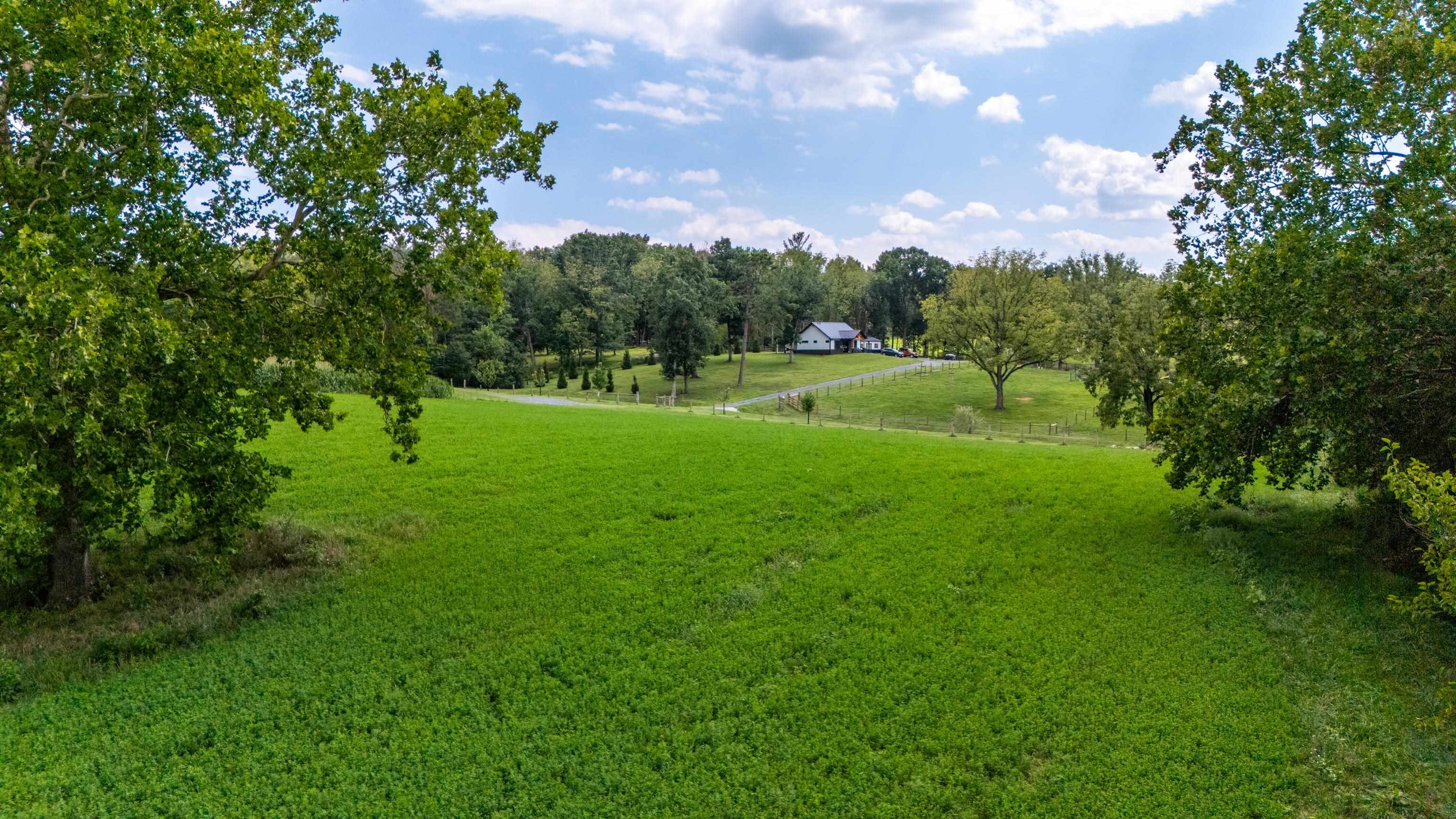 TBD CENTERVILLE RD, BRIDGEWATER, Virginia 22812, ,Land,TBD CENTERVILLE RD,682110 MLS # 682110 TBD CENTERVILLE RD, BRIDGEWATER, Virginia 22812, ,Land,TBD CENTERVILLE RD,682110 MLS # 682110