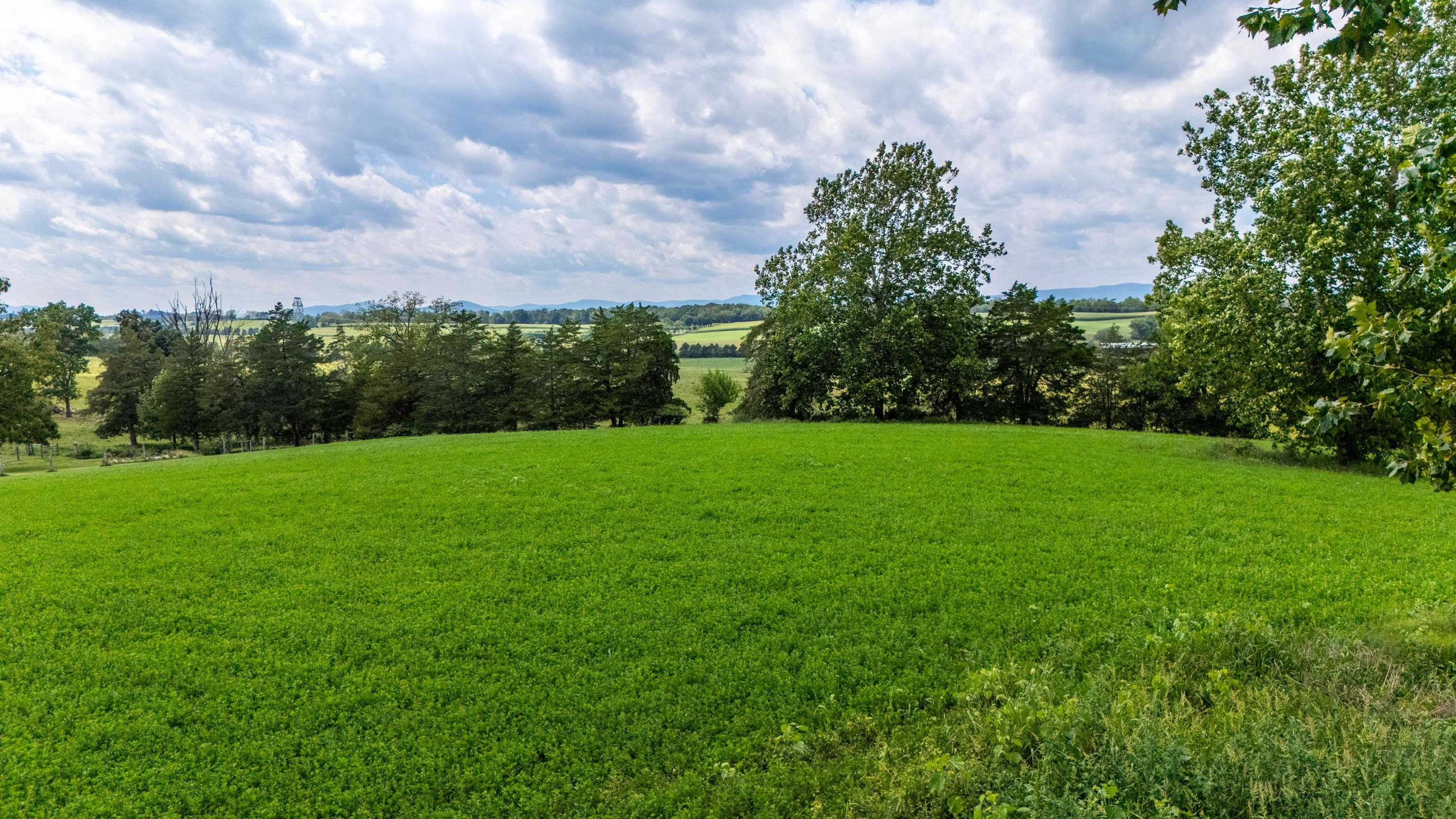 TBD CENTERVILLE RD, BRIDGEWATER, Virginia 22812, ,Land,TBD CENTERVILLE RD,682110 MLS # 682110 TBD CENTERVILLE RD, BRIDGEWATER, Virginia 22812, ,Land,TBD CENTERVILLE RD,682110 MLS # 682110