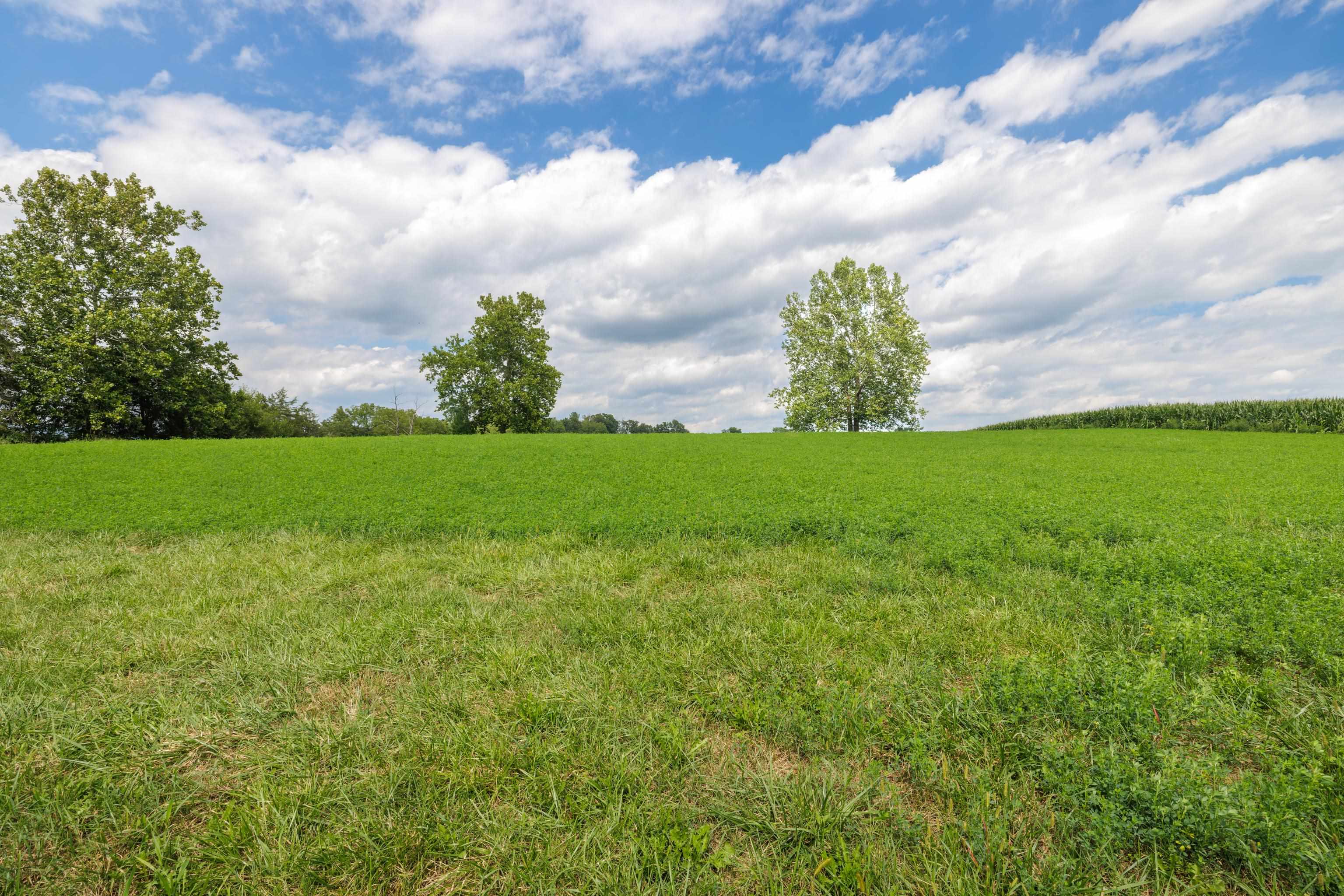 TBD CENTERVILLE RD, BRIDGEWATER, Virginia 22812, ,Land,TBD CENTERVILLE RD,682110 MLS # 682110 TBD CENTERVILLE RD, BRIDGEWATER, Virginia 22812, ,Land,TBD CENTERVILLE RD,682110 MLS # 682110