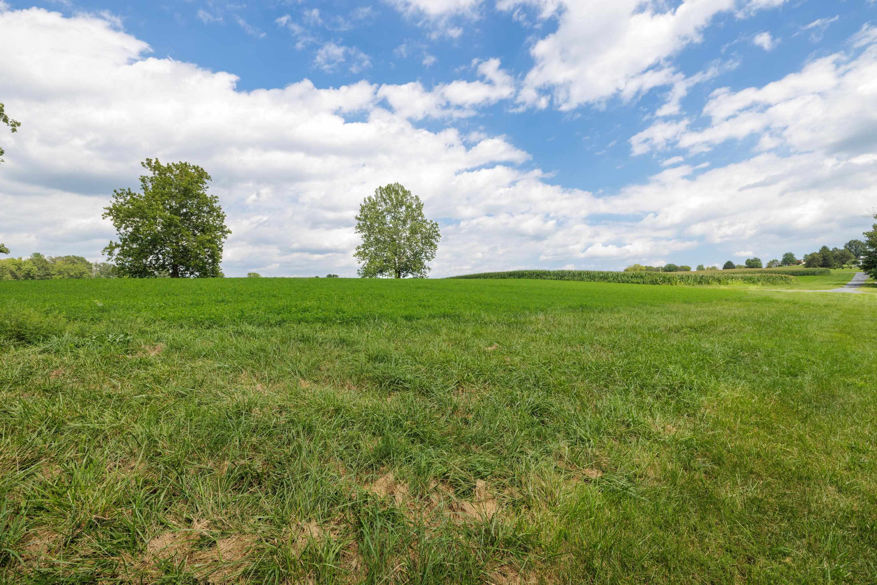 TBD CENTERVILLE RD, BRIDGEWATER, Virginia 22812, ,Land,TBD CENTERVILLE RD,682110 MLS # 682110 TBD CENTERVILLE RD, BRIDGEWATER, Virginia 22812, ,Land,TBD CENTERVILLE RD,682110 MLS # 682110