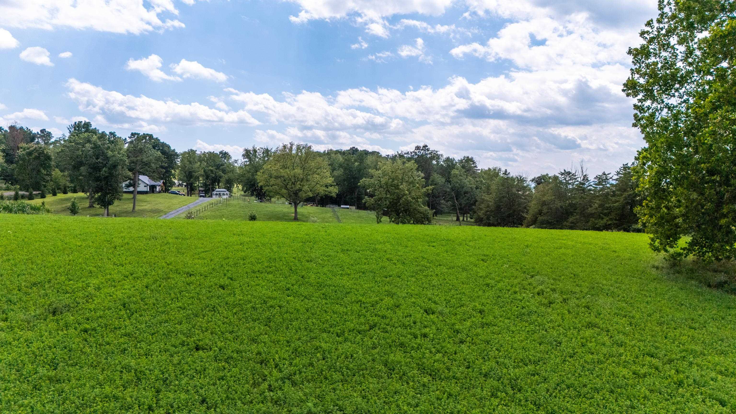 TBD CENTERVILLE RD, BRIDGEWATER, Virginia 22812, ,Land,TBD CENTERVILLE RD,682110 MLS # 682110 TBD CENTERVILLE RD, BRIDGEWATER, Virginia 22812, ,Land,TBD CENTERVILLE RD,682110 MLS # 682110