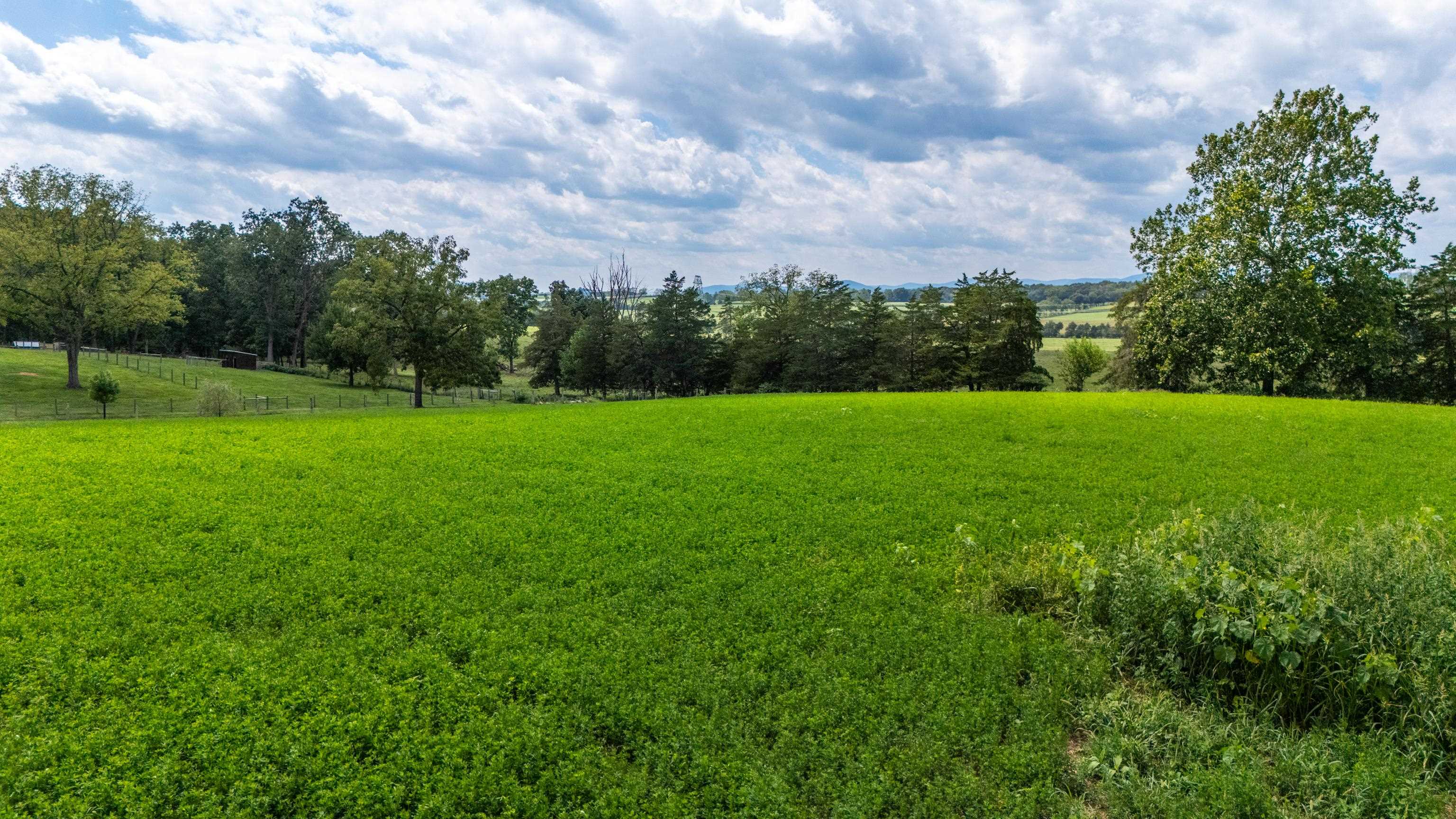 TBD CENTERVILLE RD, BRIDGEWATER, Virginia 22812, ,Land,TBD CENTERVILLE RD,682110 MLS # 682110 TBD CENTERVILLE RD, BRIDGEWATER, Virginia 22812, ,Land,TBD CENTERVILLE RD,682110 MLS # 682110