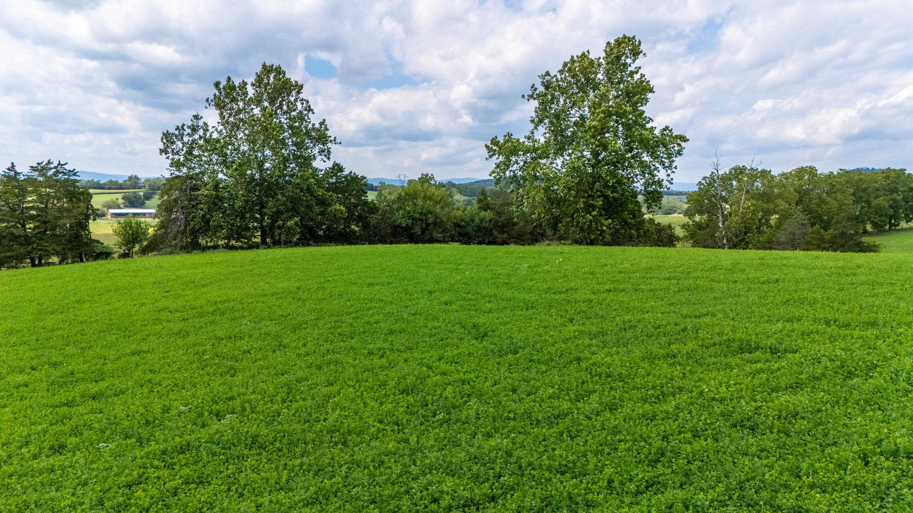 TBD CENTERVILLE RD, BRIDGEWATER, Virginia 22812, ,Land,TBD CENTERVILLE RD,682110 MLS # 682110 TBD CENTERVILLE RD, BRIDGEWATER, Virginia 22812, ,Land,TBD CENTERVILLE RD,682110 MLS # 682110
