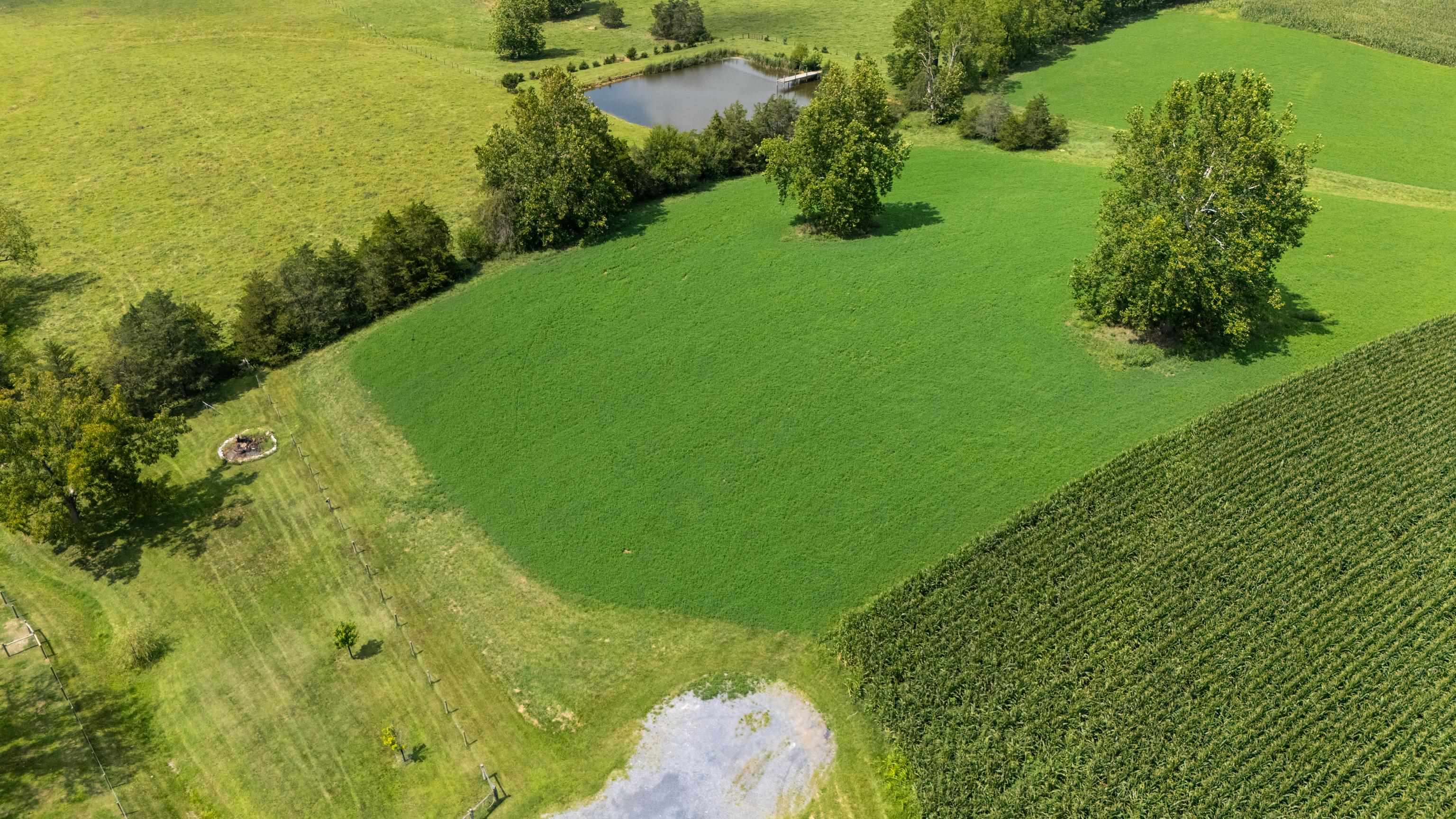 TBD CENTERVILLE RD, BRIDGEWATER, Virginia 22812, ,Land,TBD CENTERVILLE RD,682110 MLS # 682110 TBD CENTERVILLE RD, BRIDGEWATER, Virginia 22812, ,Land,TBD CENTERVILLE RD,682110 MLS # 682110