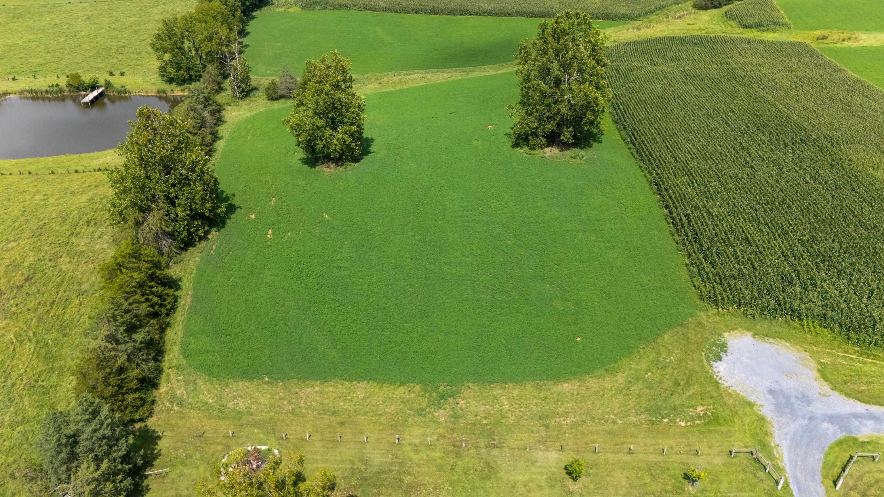 TBD CENTERVILLE RD, BRIDGEWATER, Virginia 22812, ,Land,TBD CENTERVILLE RD,682110 MLS # 682110 TBD CENTERVILLE RD, BRIDGEWATER, Virginia 22812, ,Land,TBD CENTERVILLE RD,682110 MLS # 682110