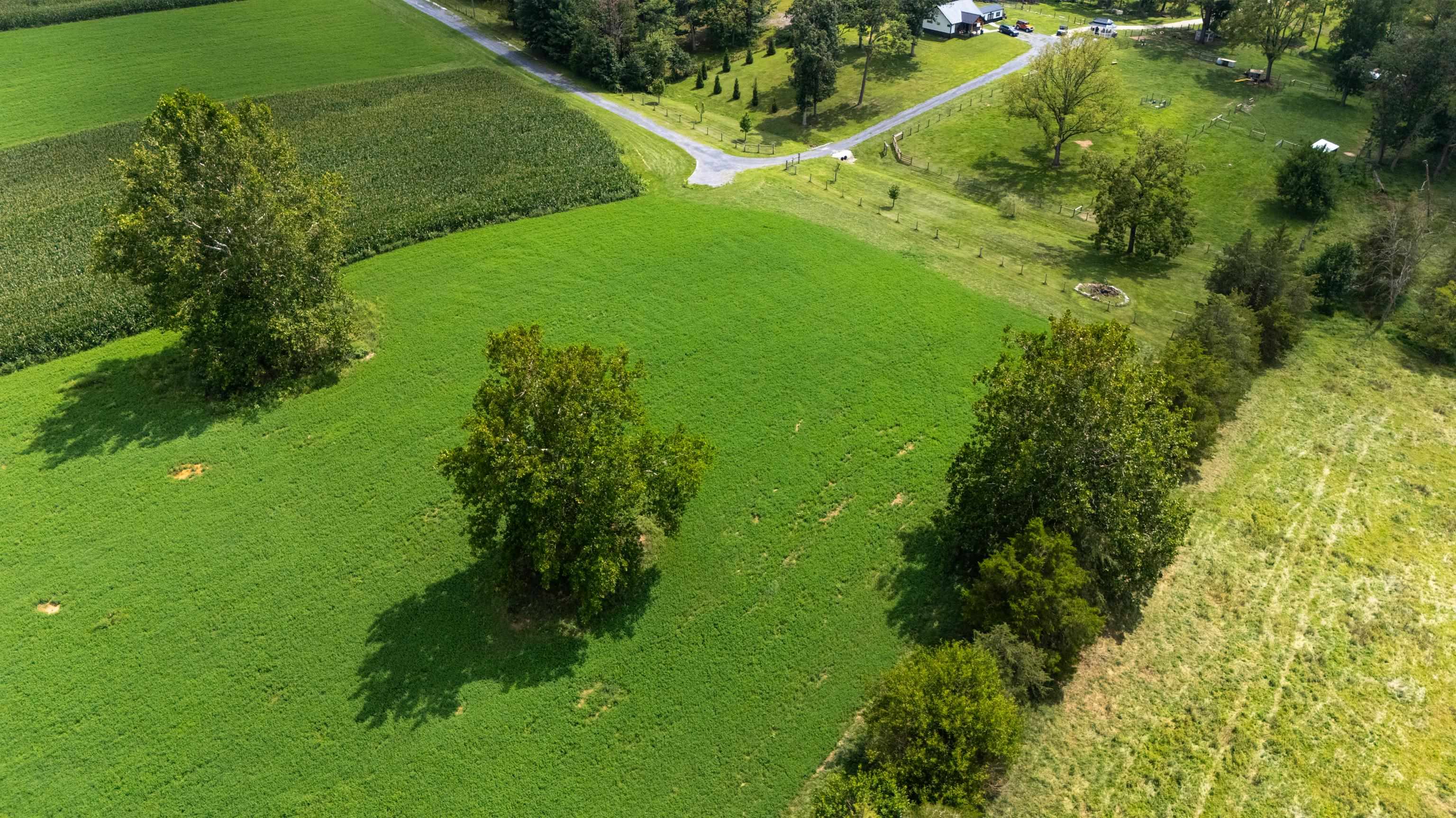 TBD CENTERVILLE RD, BRIDGEWATER, Virginia 22812, ,Land,TBD CENTERVILLE RD,682110 MLS # 682110 TBD CENTERVILLE RD, BRIDGEWATER, Virginia 22812, ,Land,TBD CENTERVILLE RD,682110 MLS # 682110