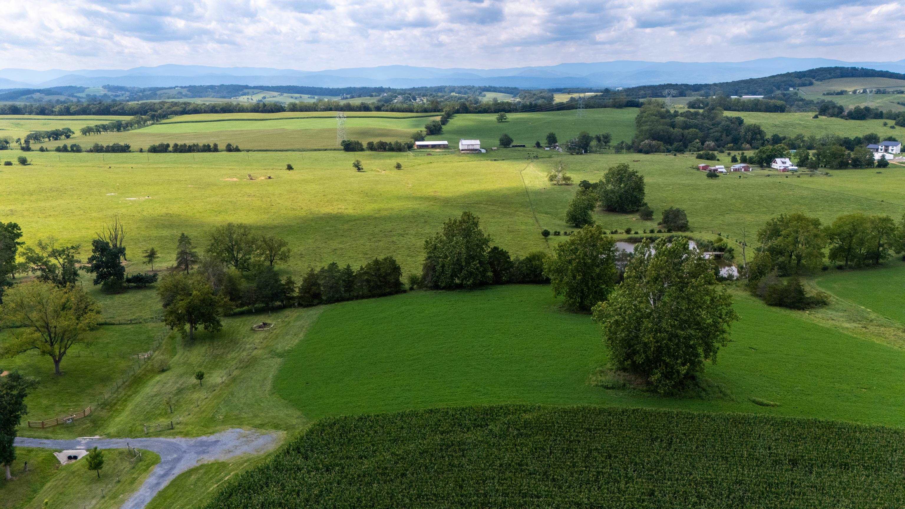 TBD CENTERVILLE RD, BRIDGEWATER, Virginia 22812, ,Land,TBD CENTERVILLE RD,682110 MLS # 682110 TBD CENTERVILLE RD, BRIDGEWATER, Virginia 22812, ,Land,TBD CENTERVILLE RD,682110 MLS # 682110