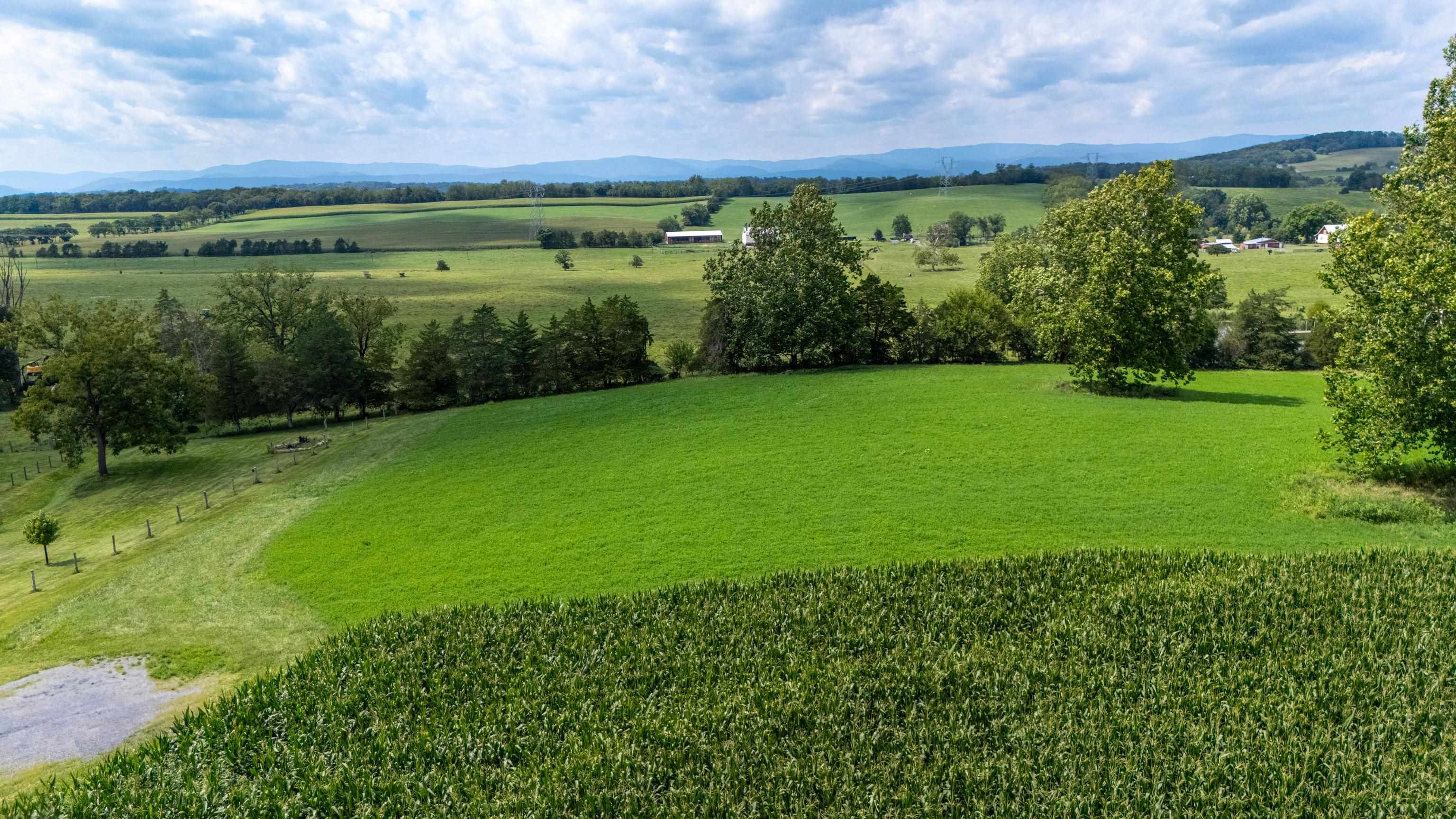 TBD CENTERVILLE RD, BRIDGEWATER, Virginia 22812, ,Land,TBD CENTERVILLE RD,682110 MLS # 682110 TBD CENTERVILLE RD, BRIDGEWATER, Virginia 22812, ,Land,TBD CENTERVILLE RD,682110 MLS # 682110