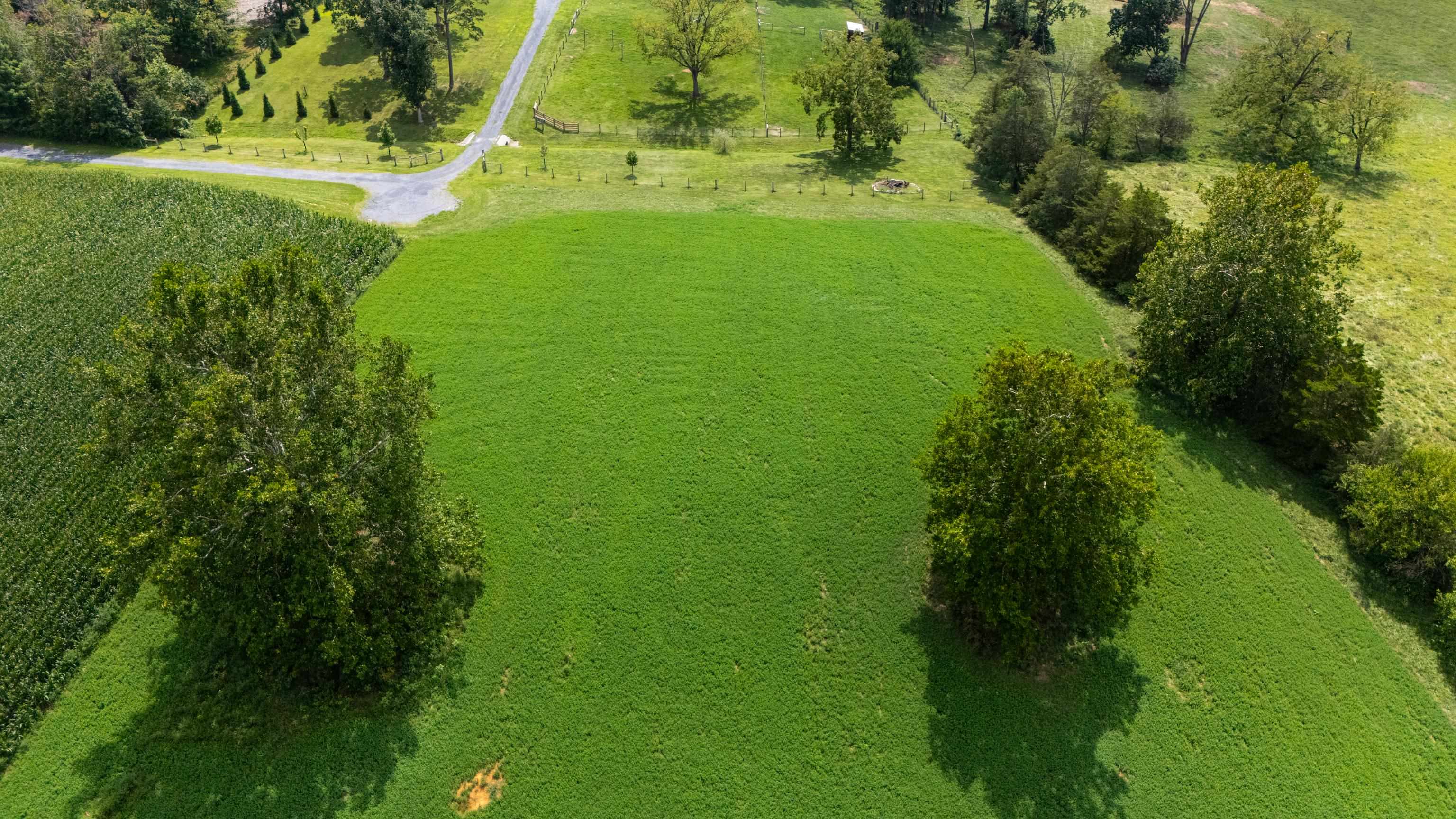 TBD CENTERVILLE RD, BRIDGEWATER, Virginia 22812, ,Land,TBD CENTERVILLE RD,682110 MLS # 682110 TBD CENTERVILLE RD, BRIDGEWATER, Virginia 22812, ,Land,TBD CENTERVILLE RD,682110 MLS # 682110