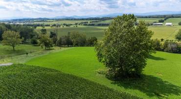TBD CENTERVILLE RD, BRIDGEWATER, Virginia 22812, ,Land,TBD CENTERVILLE RD,682110 MLS # 682110