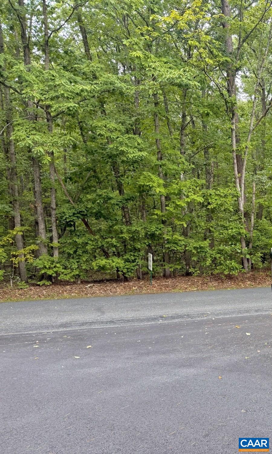 TBD BLENHEIM RD, SCOTTSVILLE, Virginia 24590, ,Land,TBD BLENHEIM RD,682123 MLS # 682123
