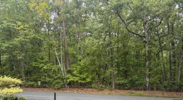TBD BLENHEIM RD, SCOTTSVILLE, Virginia 24590, ,Land,TBD BLENHEIM RD,682123 MLS # 682123