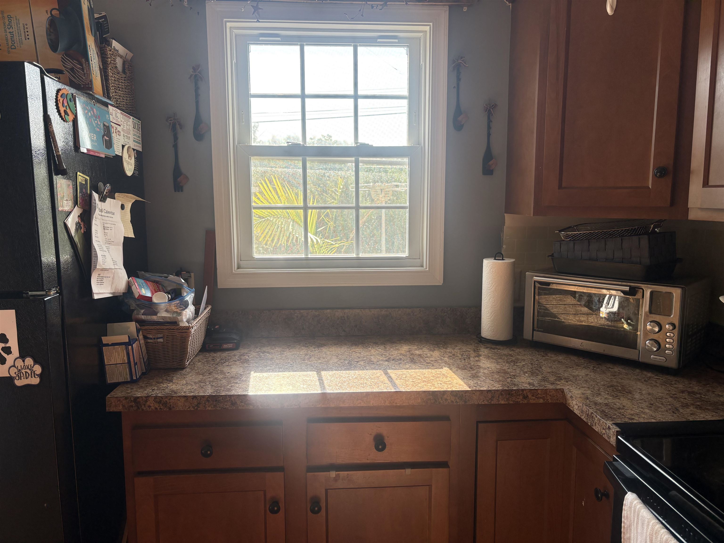 15644 FORESTVILLE RD, TIMBERVILLE, Virginia 22853, 3 Bedrooms Bedrooms, ,2 BathroomsBathrooms,Residential,15644 FORESTVILLE RD,682148 MLS # 682148