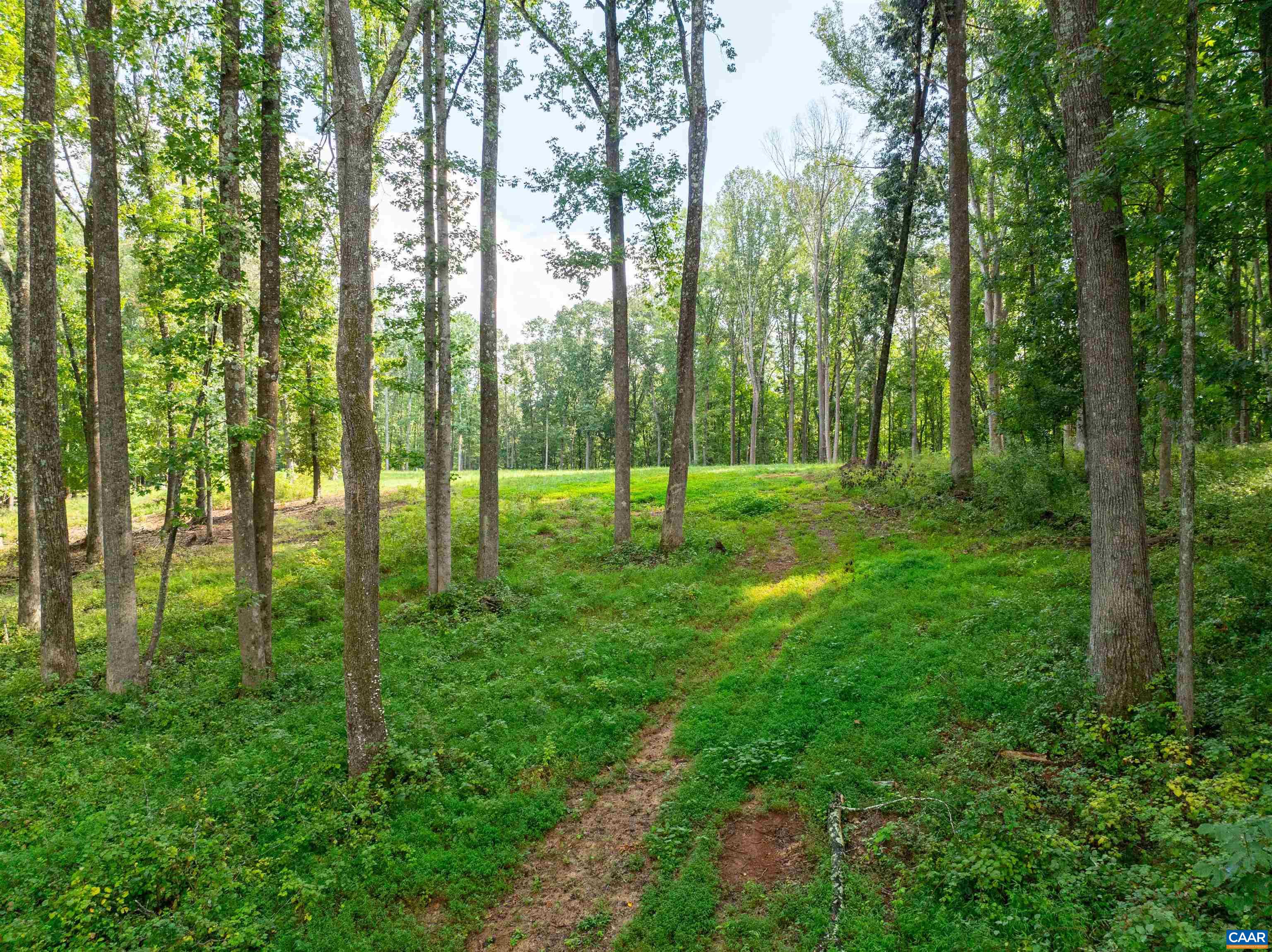 00 DICK WOODS RD, IVY, Virginia 22945, ,Land,00 DICK WOODS RD,682152 MLS # 682152 00 DICK WOODS RD, IVY, Virginia 22945, ,Land,00 DICK WOODS RD,682152 MLS # 682152
