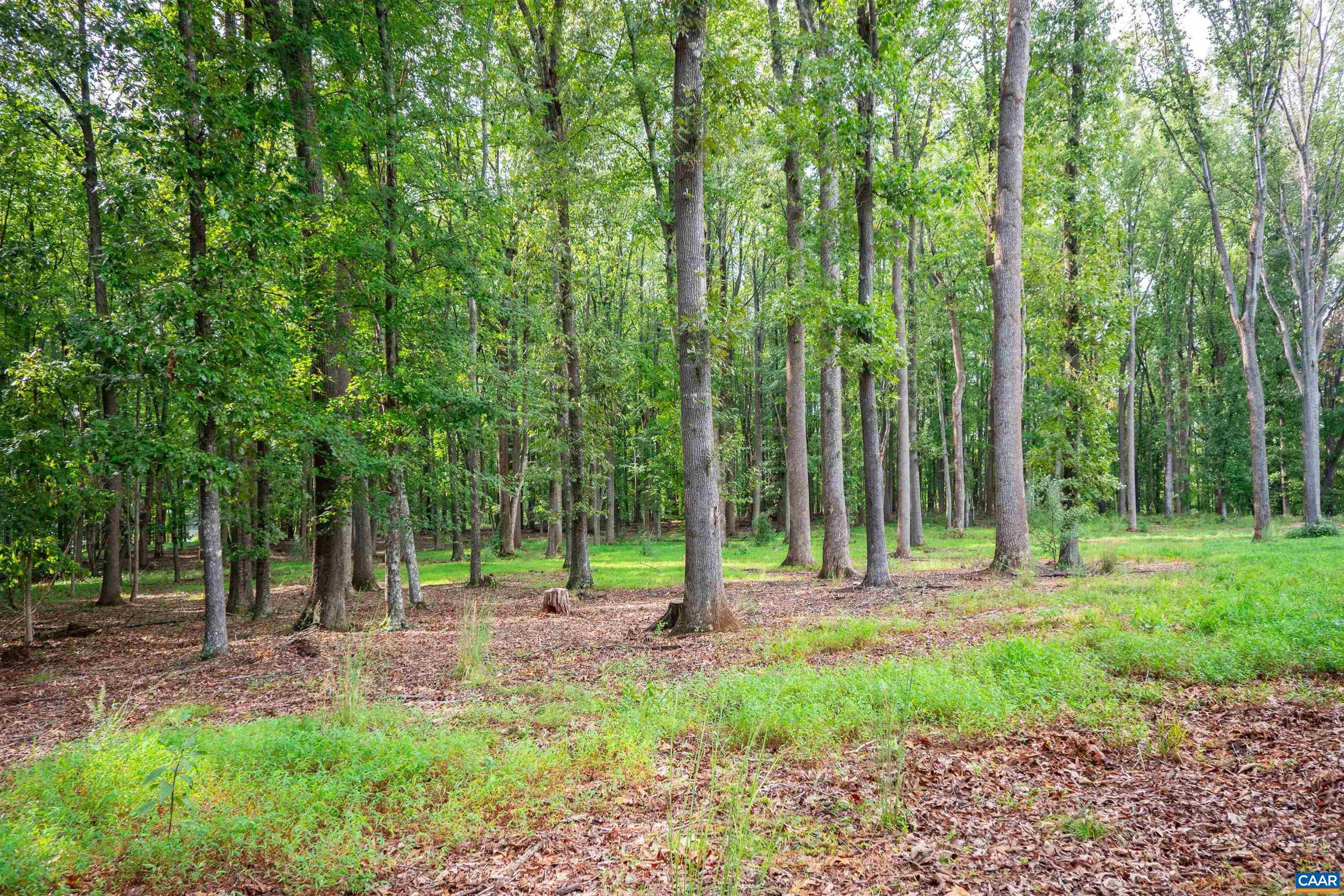 00 DICK WOODS RD, IVY, Virginia 22945, ,Land,00 DICK WOODS RD,682152 MLS # 682152 00 DICK WOODS RD, IVY, Virginia 22945, ,Land,00 DICK WOODS RD,682152 MLS # 682152