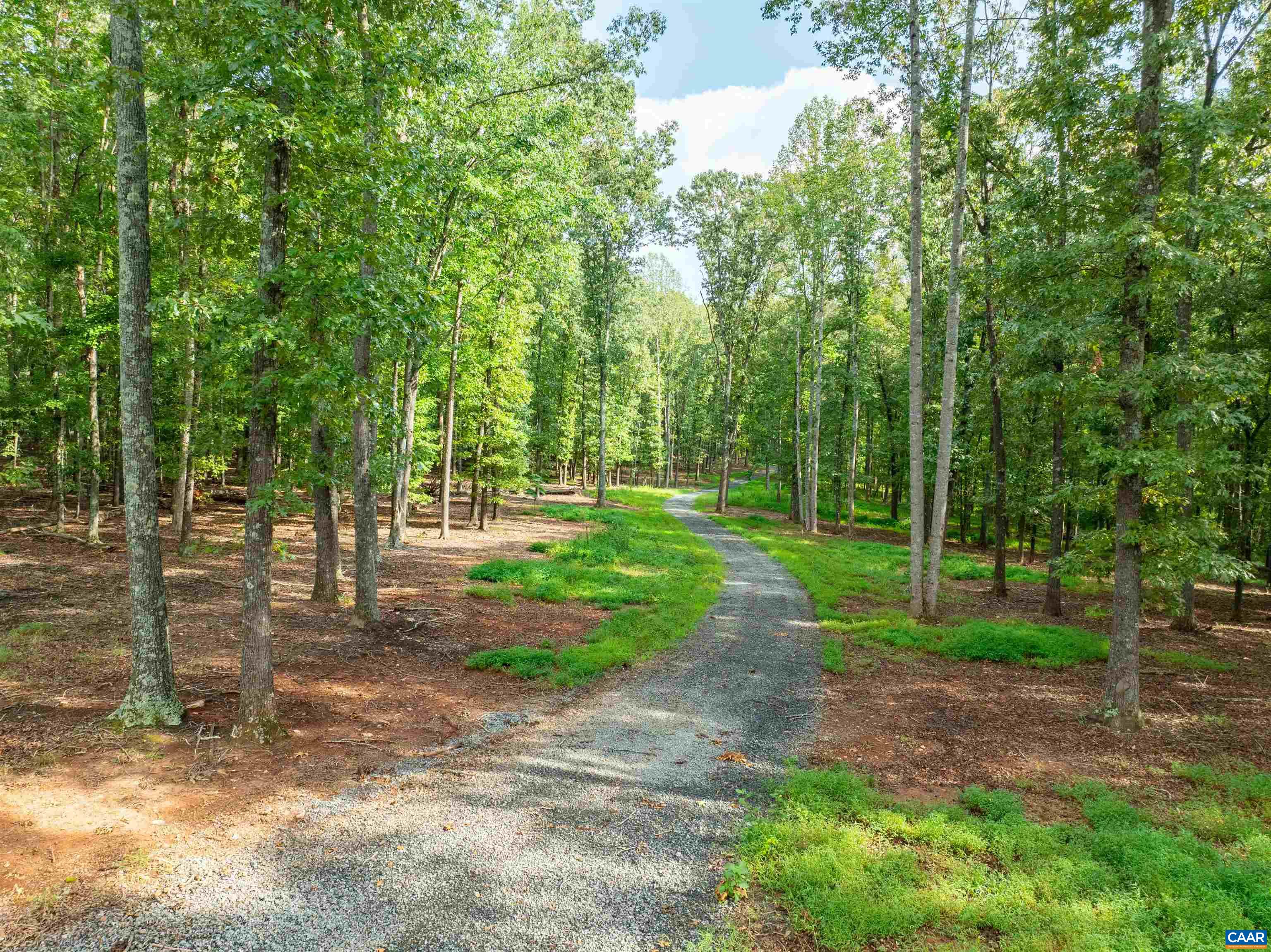 00 DICK WOODS RD, IVY, Virginia 22945, ,Land,00 DICK WOODS RD,682152 MLS # 682152 00 DICK WOODS RD, IVY, Virginia 22945, ,Land,00 DICK WOODS RD,682152 MLS # 682152