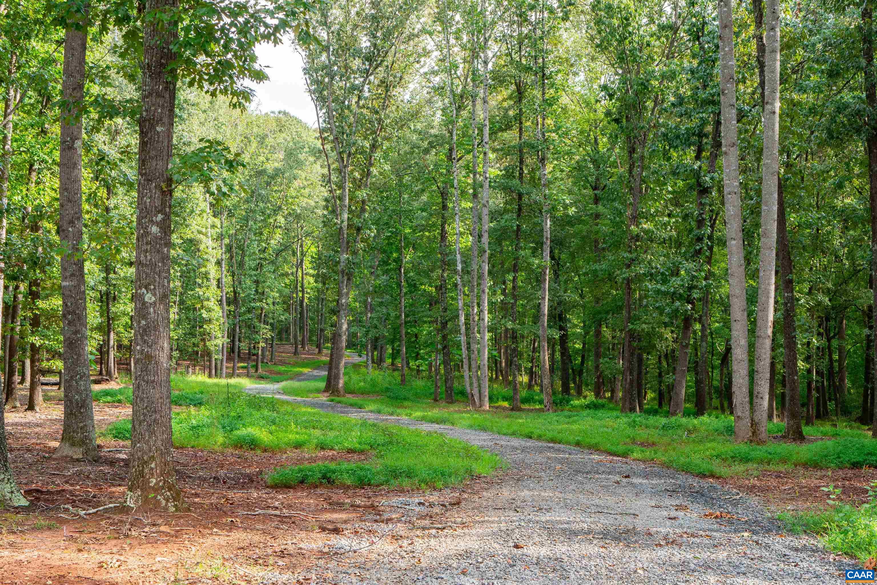00 DICK WOODS RD, IVY, Virginia 22945, ,Land,00 DICK WOODS RD,682152 MLS # 682152 00 DICK WOODS RD, IVY, Virginia 22945, ,Land,00 DICK WOODS RD,682152 MLS # 682152