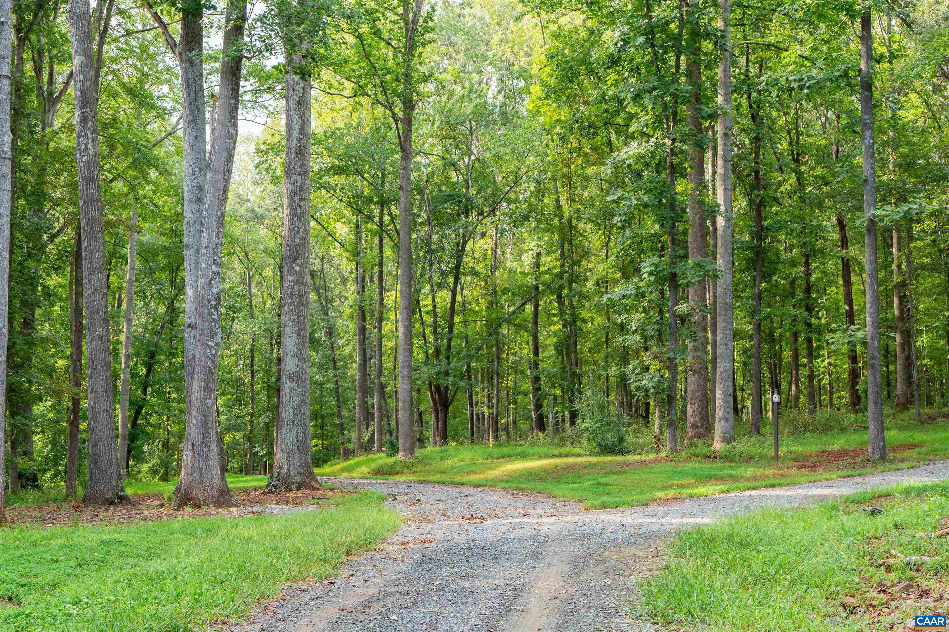 00 DICK WOODS RD, IVY, Virginia 22945, ,Land,00 DICK WOODS RD,682152 MLS # 682152 00 DICK WOODS RD, IVY, Virginia 22945, ,Land,00 DICK WOODS RD,682152 MLS # 682152