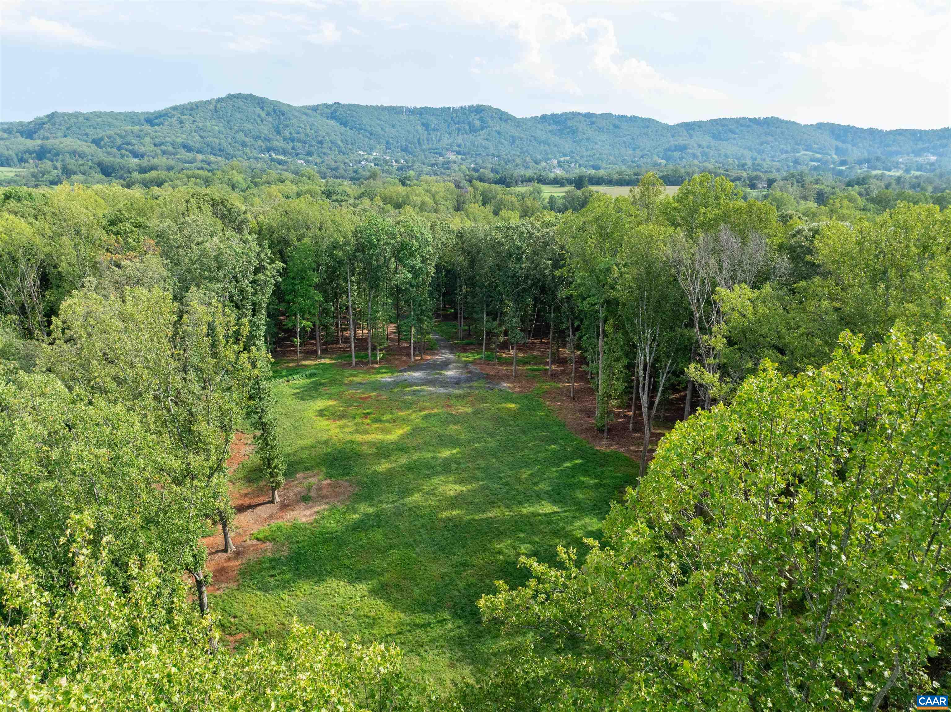 00 DICK WOODS RD, IVY, Virginia 22945, ,Land,00 DICK WOODS RD,682152 MLS # 682152 00 DICK WOODS RD, IVY, Virginia 22945, ,Land,00 DICK WOODS RD,682152 MLS # 682152