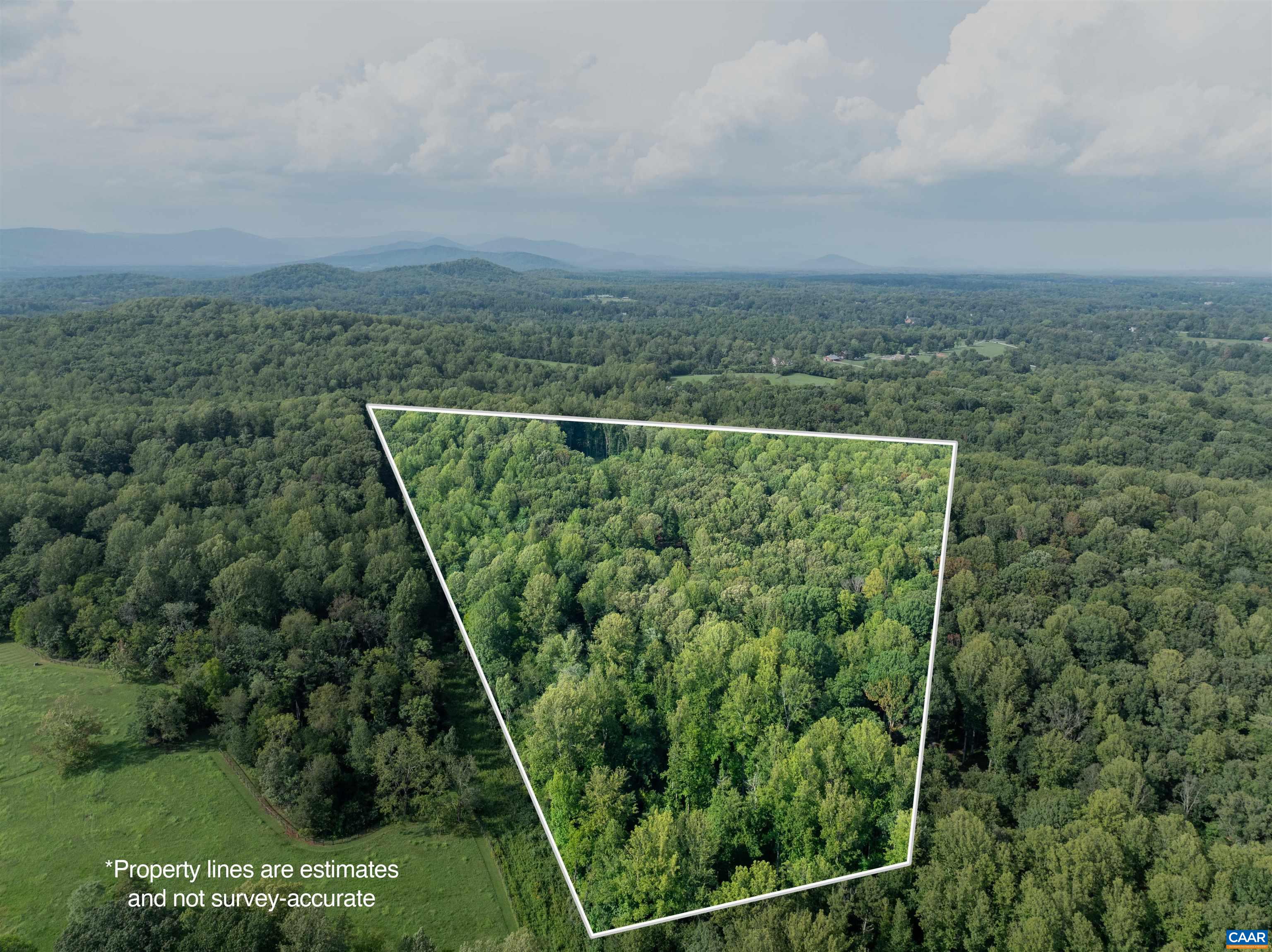 00 DICK WOODS RD, IVY, Virginia 22945, ,Land,00 DICK WOODS RD,682152 MLS # 682152 00 DICK WOODS RD, IVY, Virginia 22945, ,Land,00 DICK WOODS RD,682152 MLS # 682152