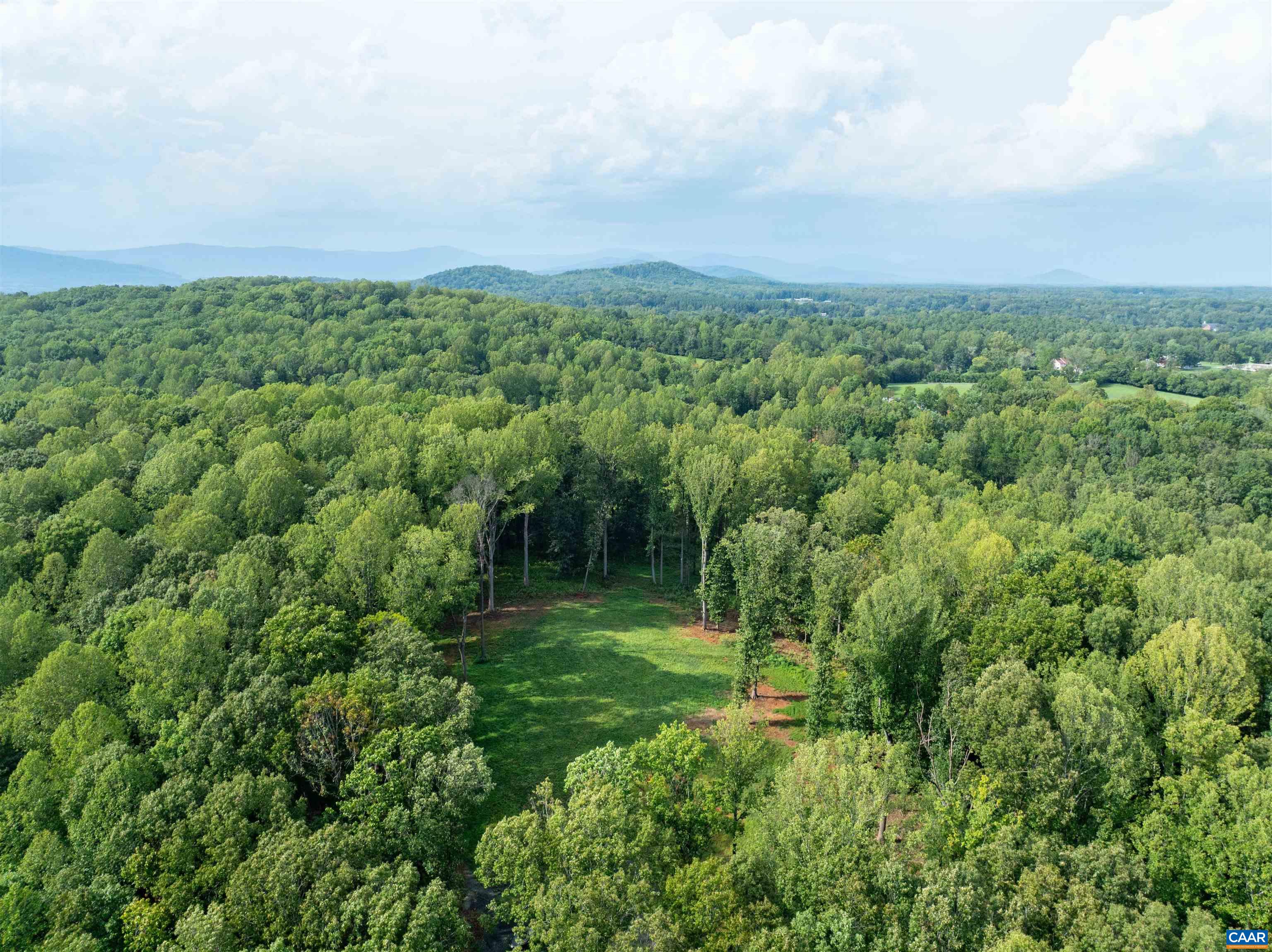 00 DICK WOODS RD, IVY, Virginia 22945, ,Land,00 DICK WOODS RD,682152 MLS # 682152 00 DICK WOODS RD, IVY, Virginia 22945, ,Land,00 DICK WOODS RD,682152 MLS # 682152