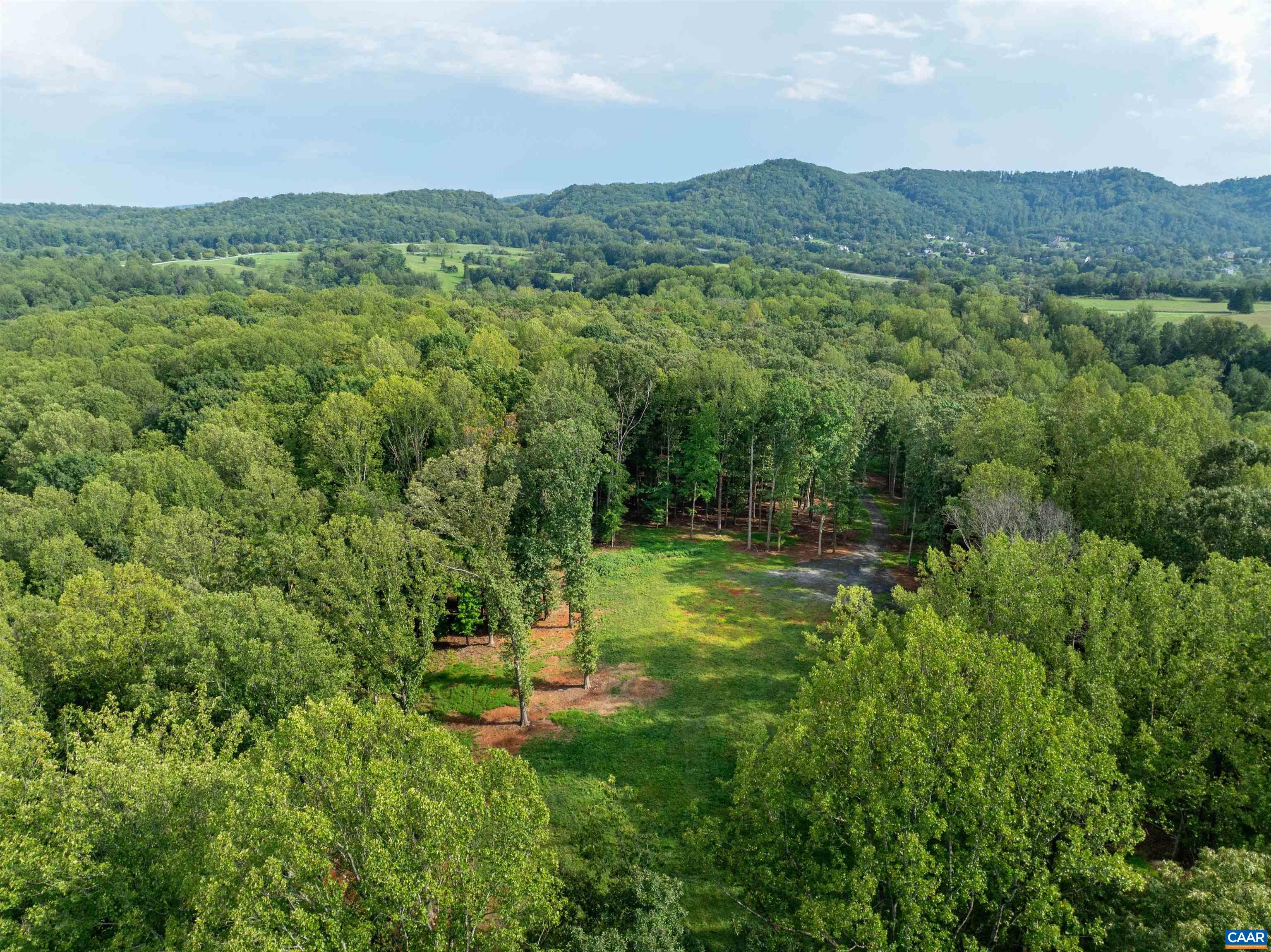 00 DICK WOODS RD, IVY, Virginia 22945, ,Land,00 DICK WOODS RD,682152 MLS # 682152 00 DICK WOODS RD, IVY, Virginia 22945, ,Land,00 DICK WOODS RD,682152 MLS # 682152