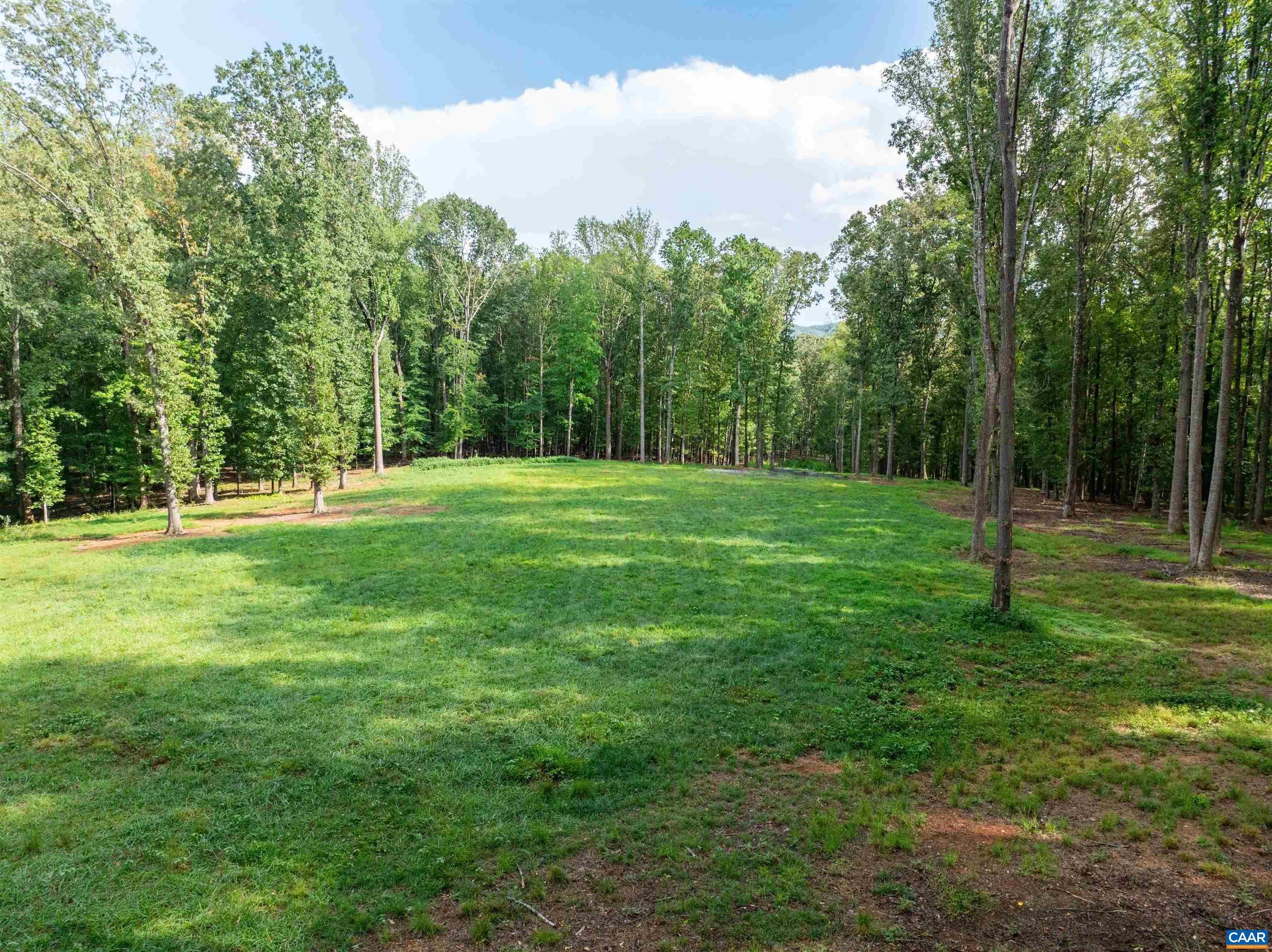 00 DICK WOODS RD, IVY, Virginia 22945, ,Land,00 DICK WOODS RD,682152 MLS # 682152 00 DICK WOODS RD, IVY, Virginia 22945, ,Land,00 DICK WOODS RD,682152 MLS # 682152