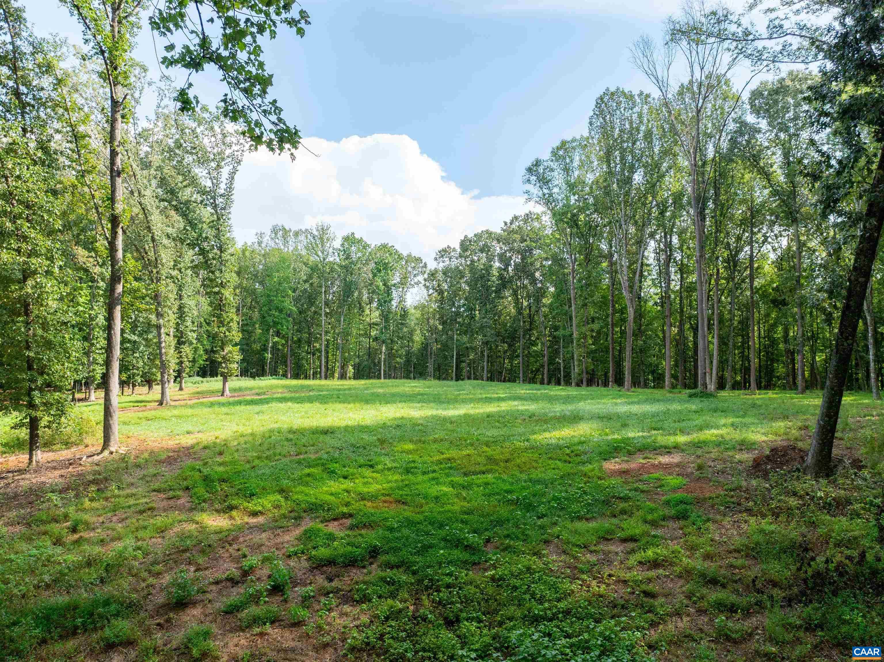 00 DICK WOODS RD, IVY, Virginia 22945, ,Land,00 DICK WOODS RD,682152 MLS # 682152 00 DICK WOODS RD, IVY, Virginia 22945, ,Land,00 DICK WOODS RD,682152 MLS # 682152