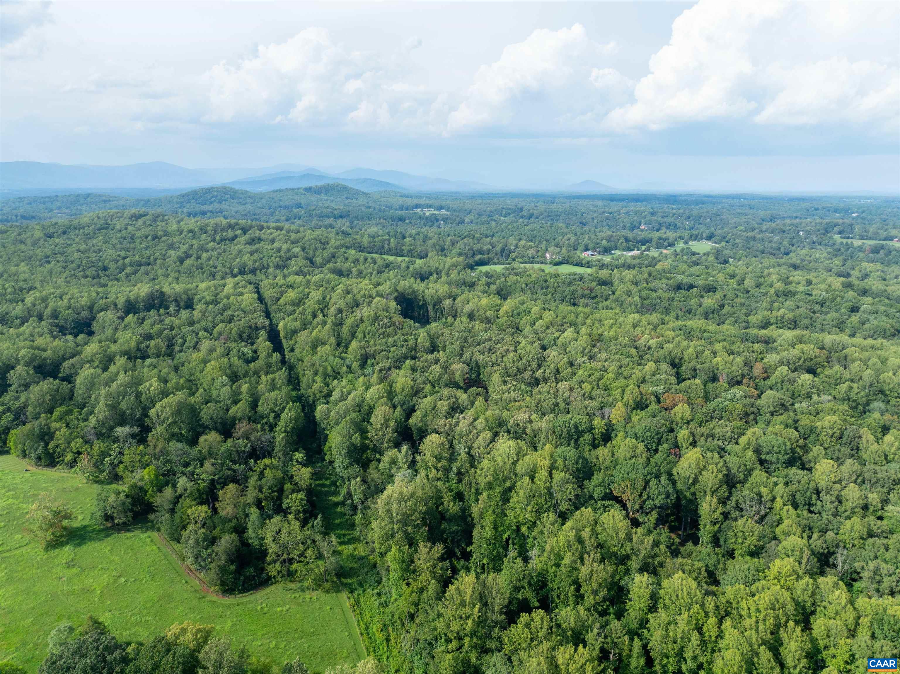 00 DICK WOODS RD, IVY, Virginia 22945, ,Land,00 DICK WOODS RD,682152 MLS # 682152 00 DICK WOODS RD, IVY, Virginia 22945, ,Land,00 DICK WOODS RD,682152 MLS # 682152