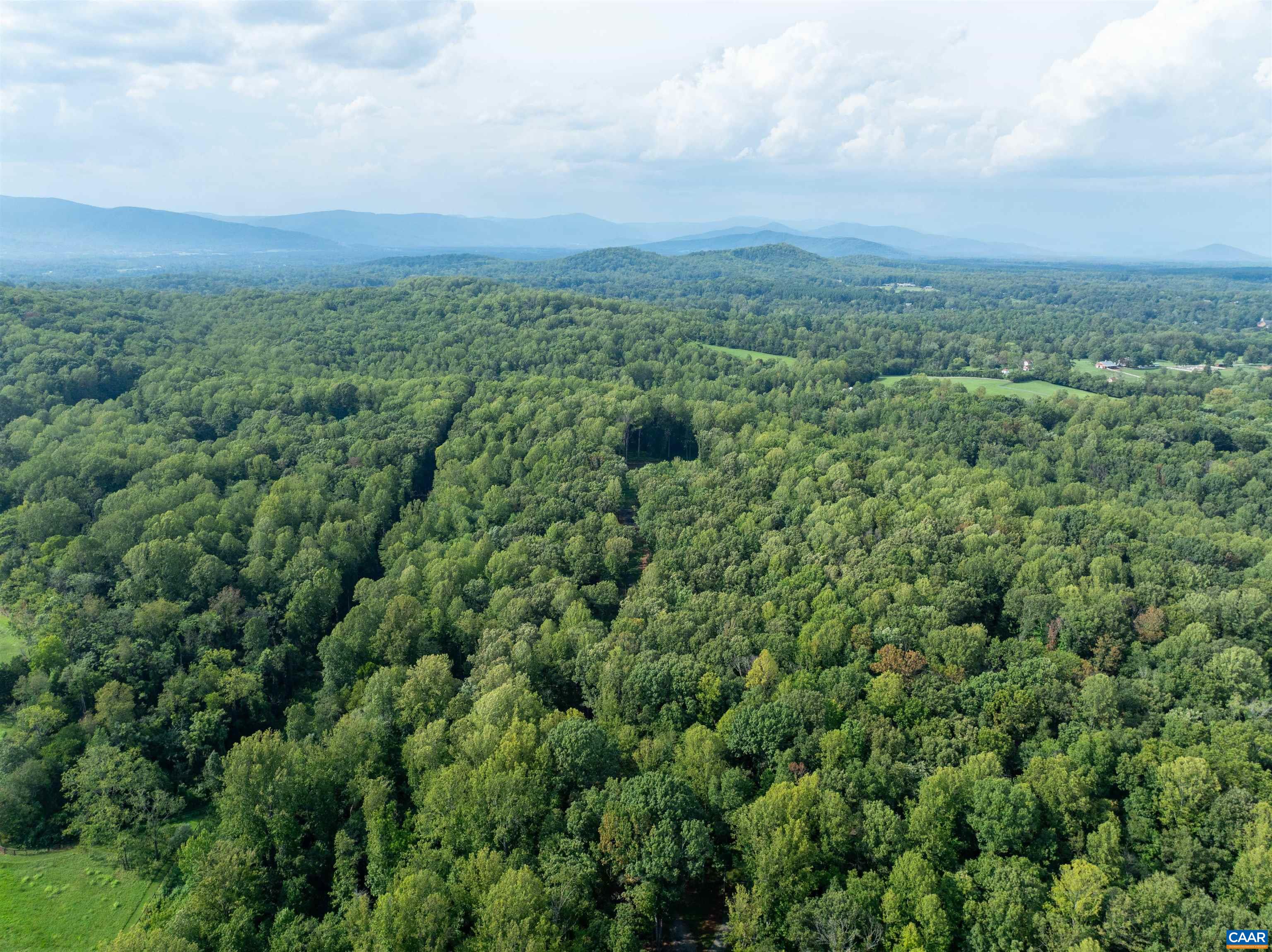 00 DICK WOODS RD, IVY, Virginia 22945, ,Land,00 DICK WOODS RD,682152 MLS # 682152 00 DICK WOODS RD, IVY, Virginia 22945, ,Land,00 DICK WOODS RD,682152 MLS # 682152