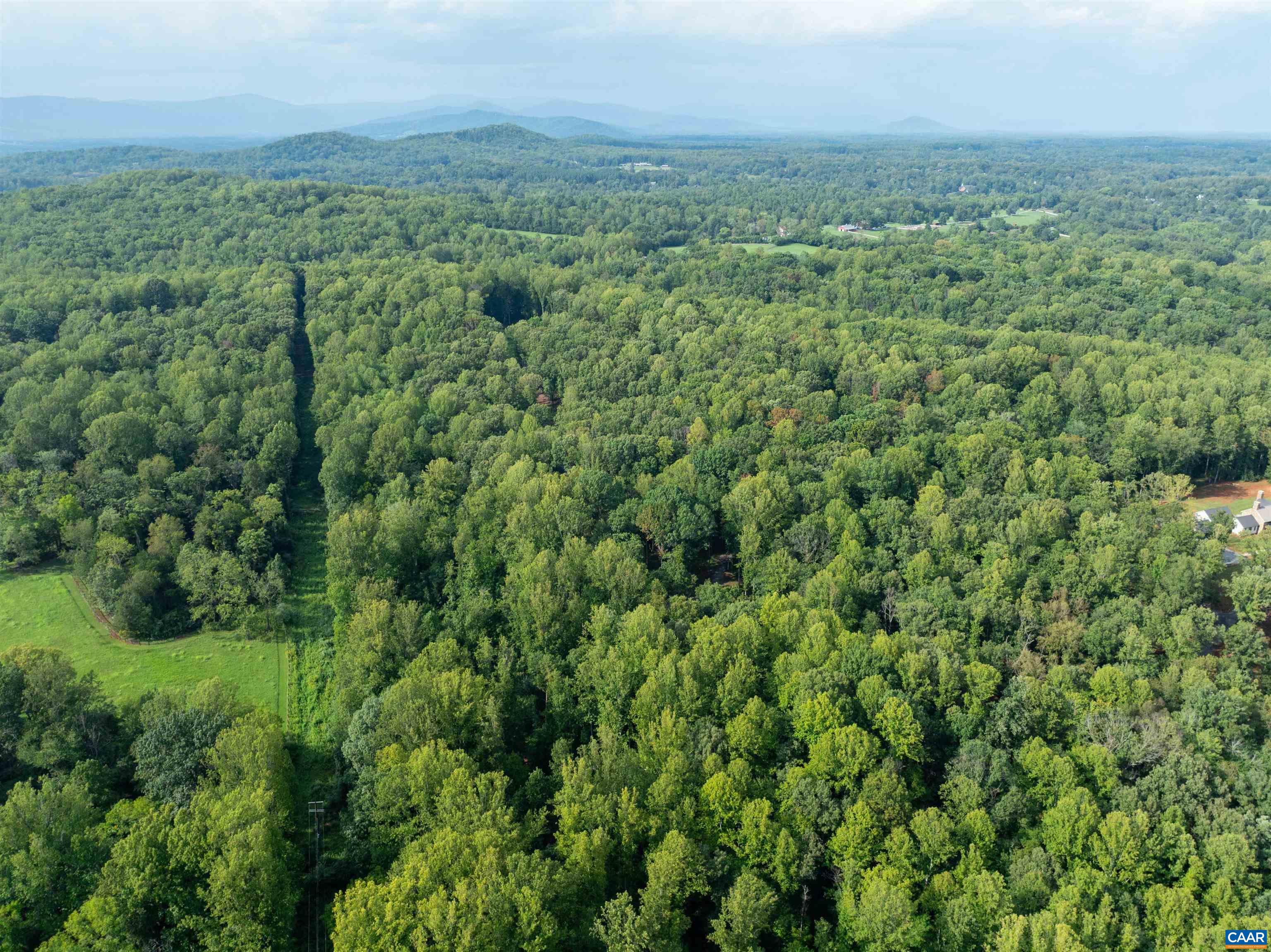00 DICK WOODS RD, IVY, Virginia 22945, ,Land,00 DICK WOODS RD,682152 MLS # 682152 00 DICK WOODS RD, IVY, Virginia 22945, ,Land,00 DICK WOODS RD,682152 MLS # 682152