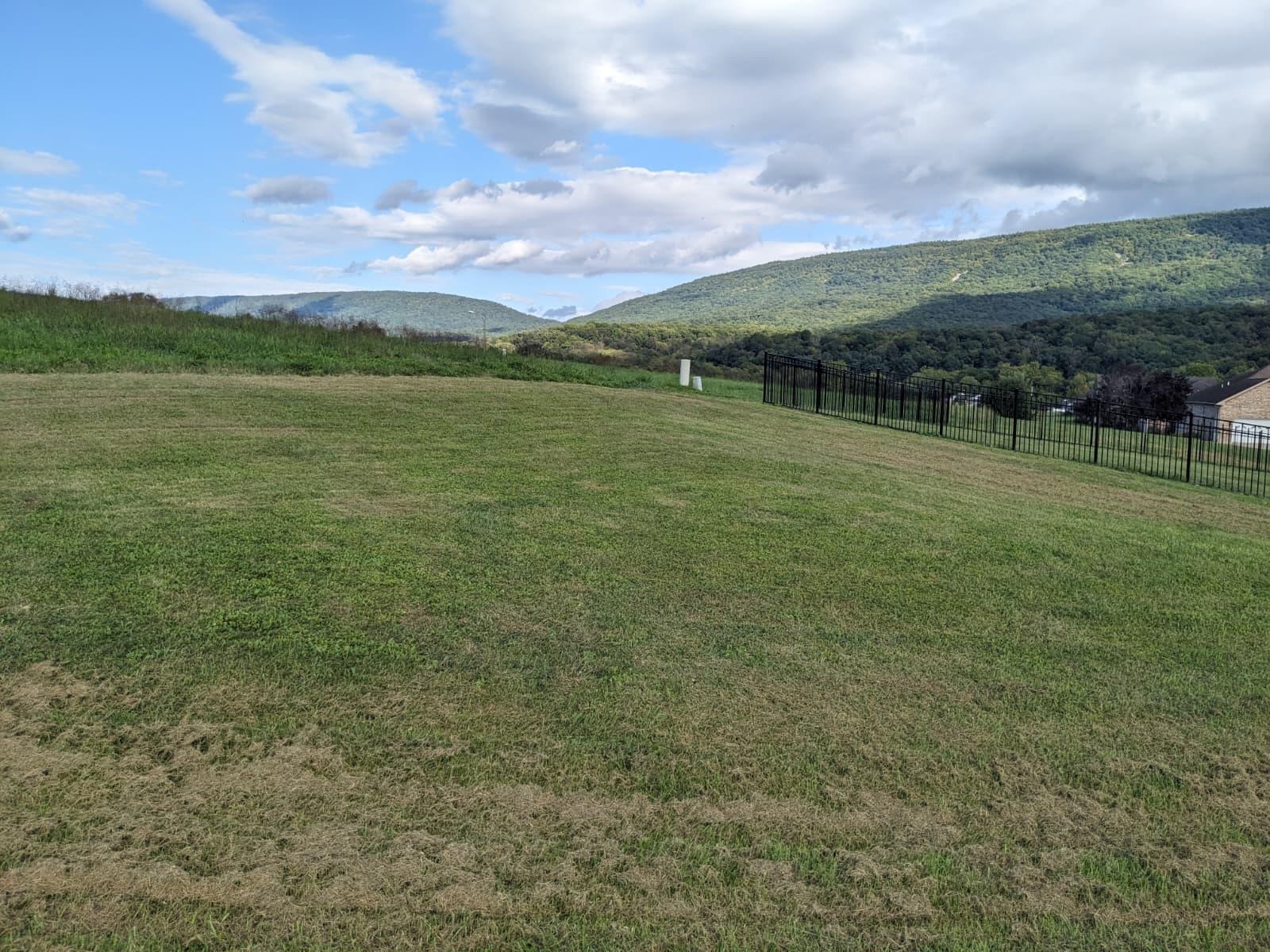 TBD CLICKS LN, NEW MARKET, Virginia 22844, ,Land,TBD CLICKS LN,682156 MLS # 682156
