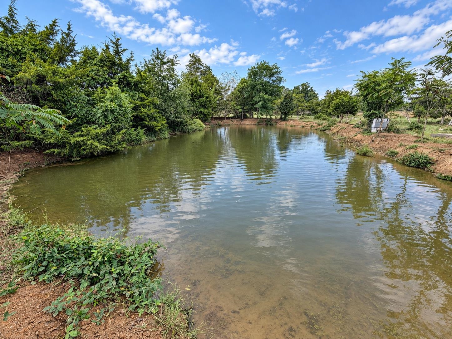 TBD OLD COUNTRY RD, GROTTOES, Virginia 24441, ,Land,TBD OLD COUNTRY RD,682167 MLS # 682167 TBD OLD COUNTRY RD, GROTTOES, Virginia 24441, ,Land,TBD OLD COUNTRY RD,682167 MLS # 682167