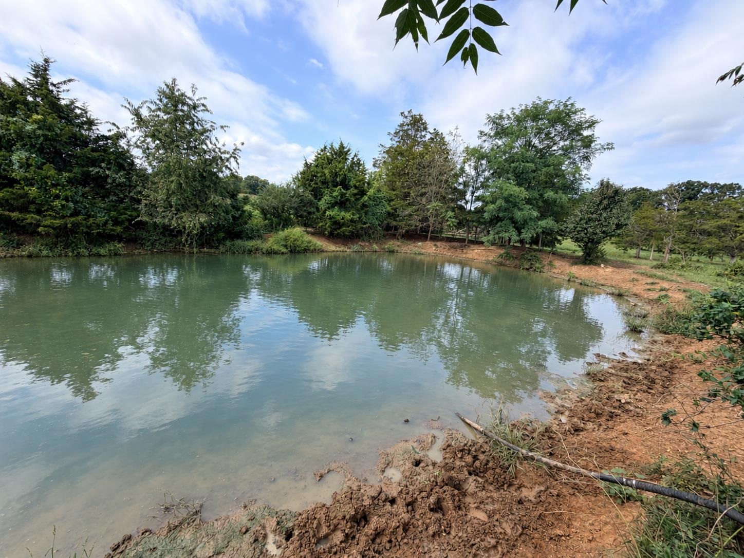 TBD OLD COUNTRY RD, GROTTOES, Virginia 24441, ,Land,TBD OLD COUNTRY RD,682167 MLS # 682167 TBD OLD COUNTRY RD, GROTTOES, Virginia 24441, ,Land,TBD OLD COUNTRY RD,682167 MLS # 682167