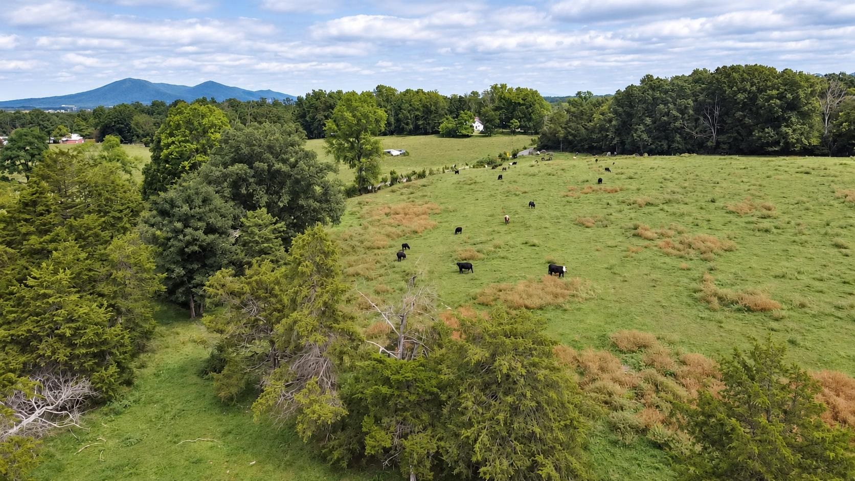 TBD OLD COUNTRY RD, GROTTOES, Virginia 24441, ,Land,TBD OLD COUNTRY RD,682167 MLS # 682167 TBD OLD COUNTRY RD, GROTTOES, Virginia 24441, ,Land,TBD OLD COUNTRY RD,682167 MLS # 682167