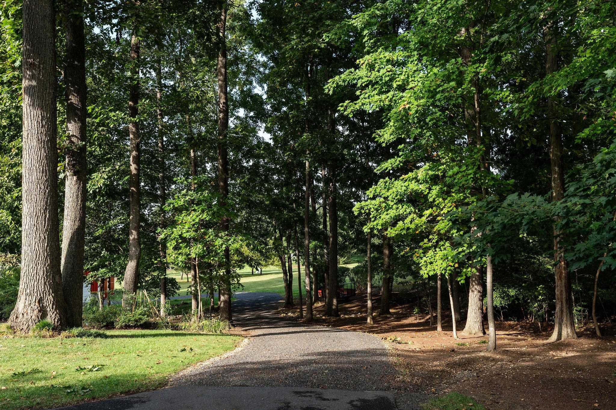 52 HICKORY WOODS DR, FISHERSVILLE, Virginia 22939, 4 Bedrooms Bedrooms, ,3 BathroomsBathrooms,Residential,52 HICKORY WOODS DR,682161 MLS # 682161 52 HICKORY WOODS DR, FISHERSVILLE, Virginia 22939, 4 Bedrooms Bedrooms, ,3 BathroomsBathrooms,Residential,52 HICKORY WOODS DR,682161 MLS # 682161