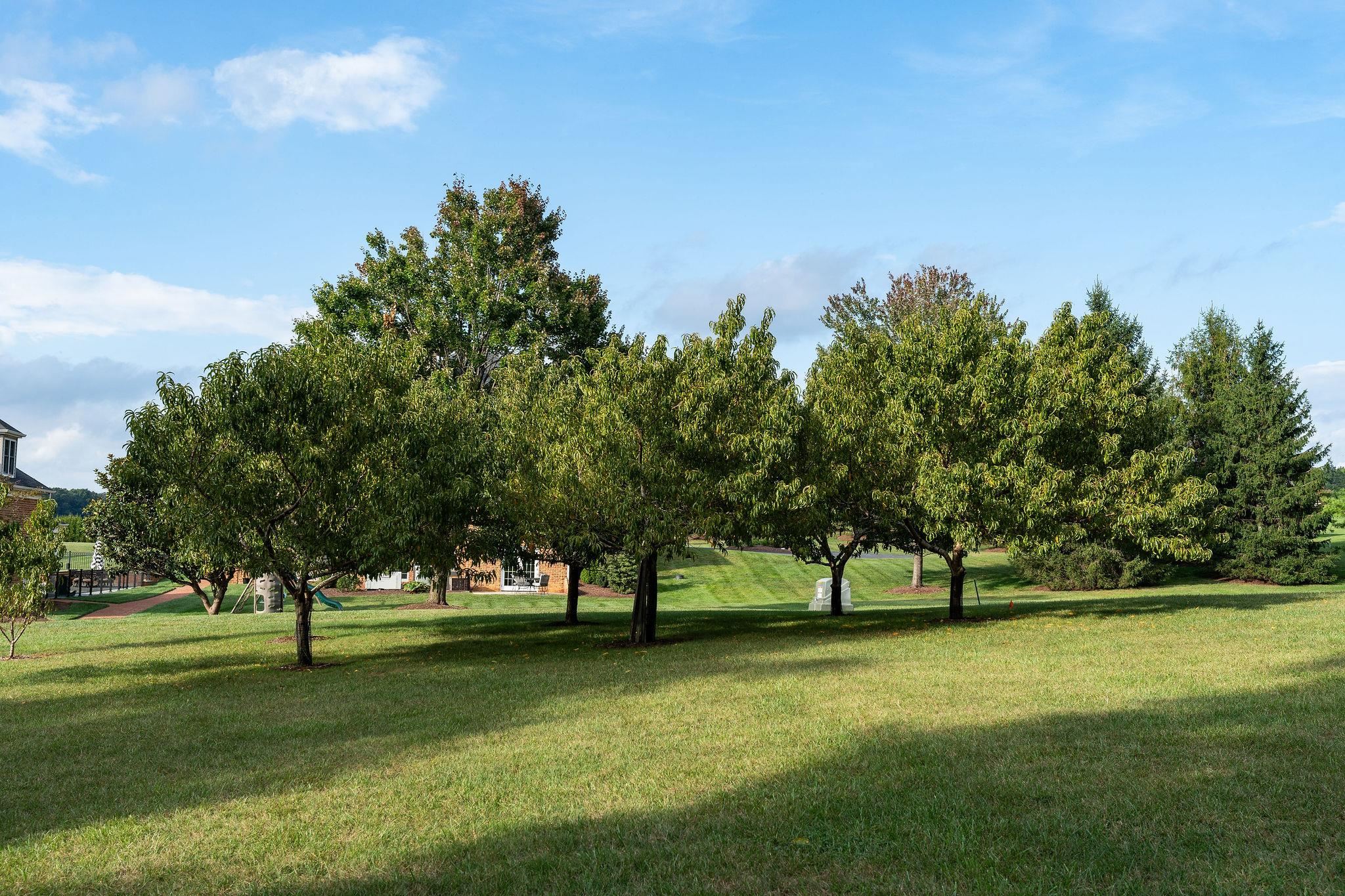 52 HICKORY WOODS DR, FISHERSVILLE, Virginia 22939, 4 Bedrooms Bedrooms, ,3 BathroomsBathrooms,Residential,52 HICKORY WOODS DR,682161 MLS # 682161 52 HICKORY WOODS DR, FISHERSVILLE, Virginia 22939, 4 Bedrooms Bedrooms, ,3 BathroomsBathrooms,Residential,52 HICKORY WOODS DR,682161 MLS # 682161