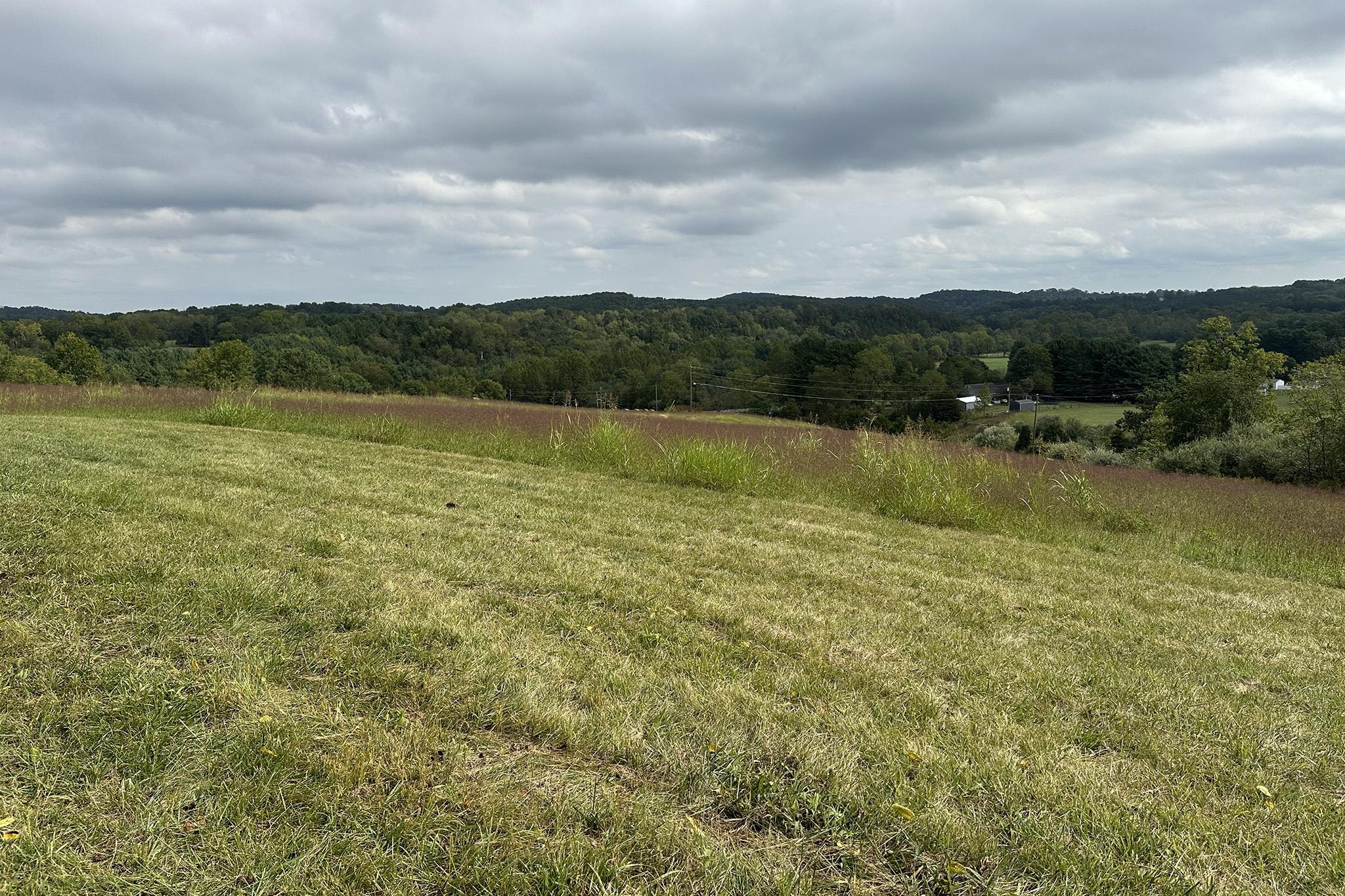 TBD CHURCHVILLE AVE, STAUNTON, Virginia 24401, ,Land,TBD CHURCHVILLE AVE,682182 MLS # 682182