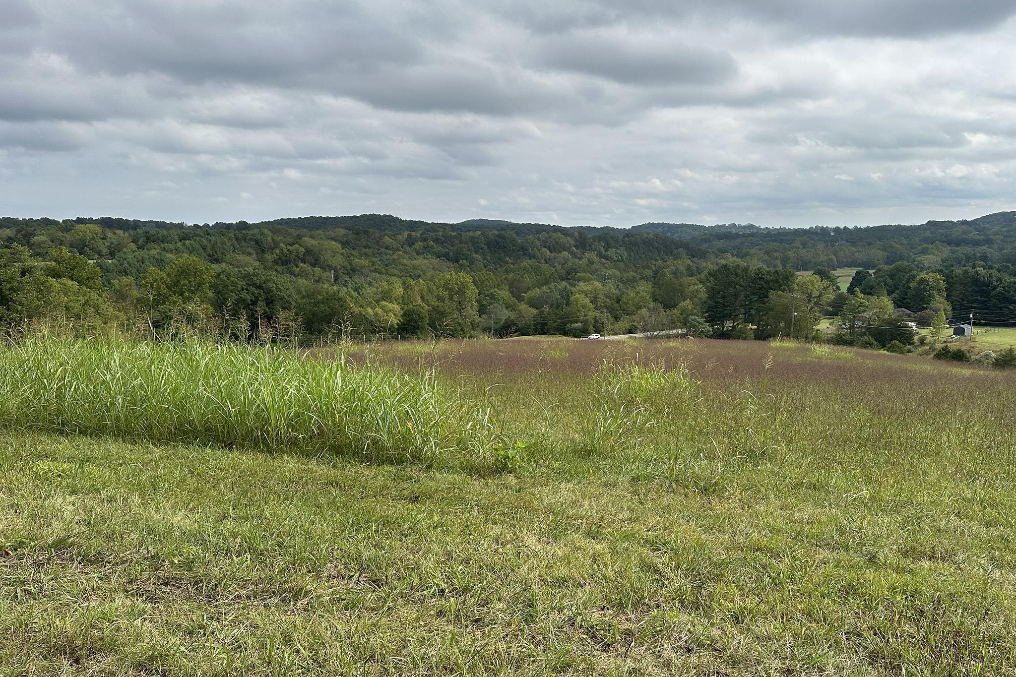 TBD CHURCHVILLE AVE, STAUNTON, Virginia 24401, ,Land,TBD CHURCHVILLE AVE,682182 MLS # 682182