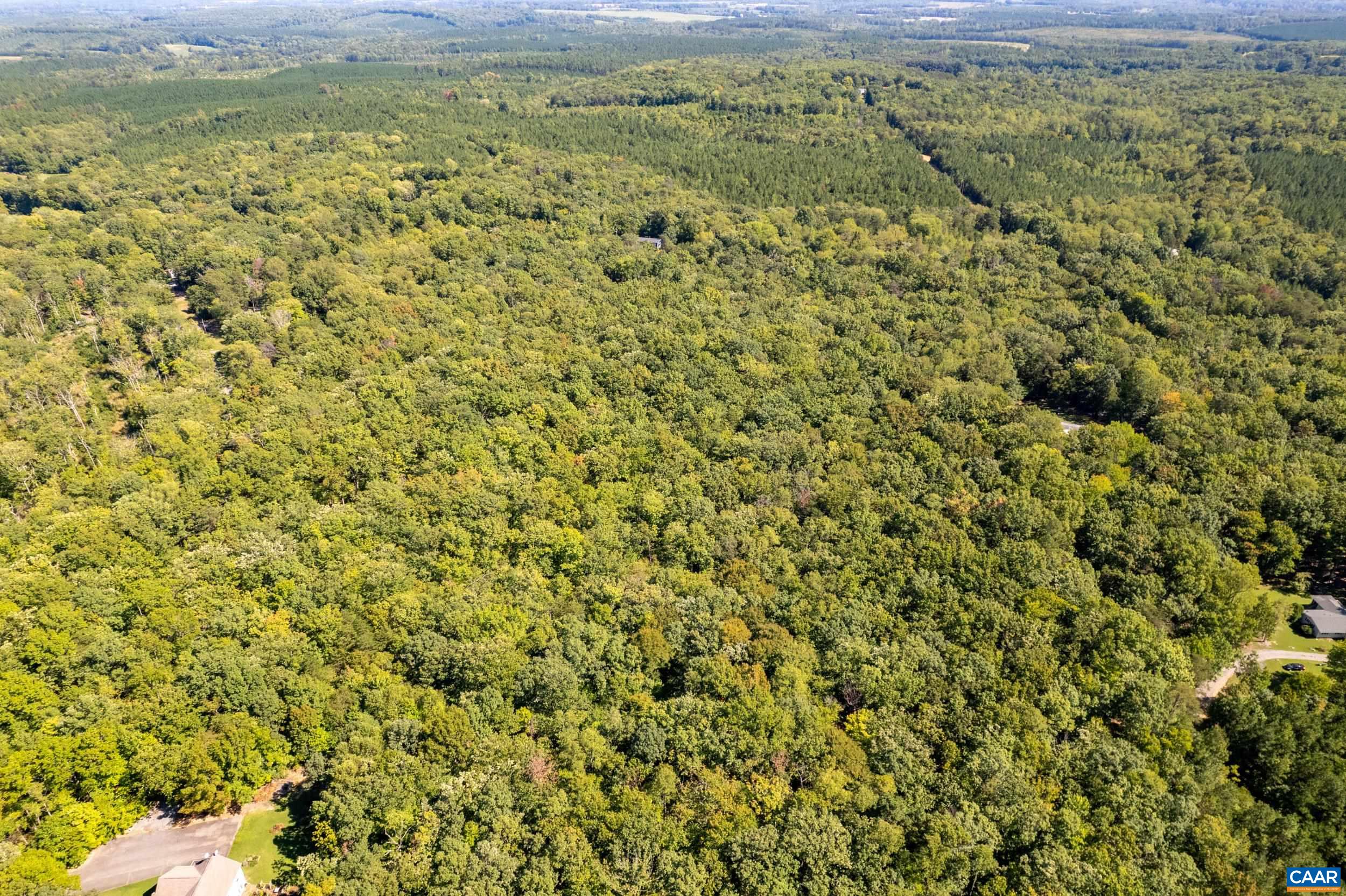 0 CHESTNUT GROVE RD, ESMONT, Virginia 22937, ,Land,0 CHESTNUT GROVE RD,682203 MLS # 682203 0 CHESTNUT GROVE RD, ESMONT, Virginia 22937, ,Land,0 CHESTNUT GROVE RD,682203 MLS # 682203